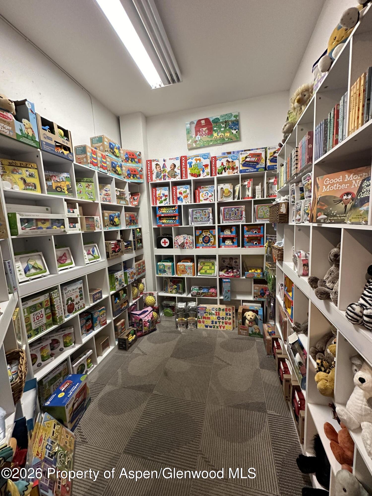 635 E Cooper Avenue Aspen CO 81611