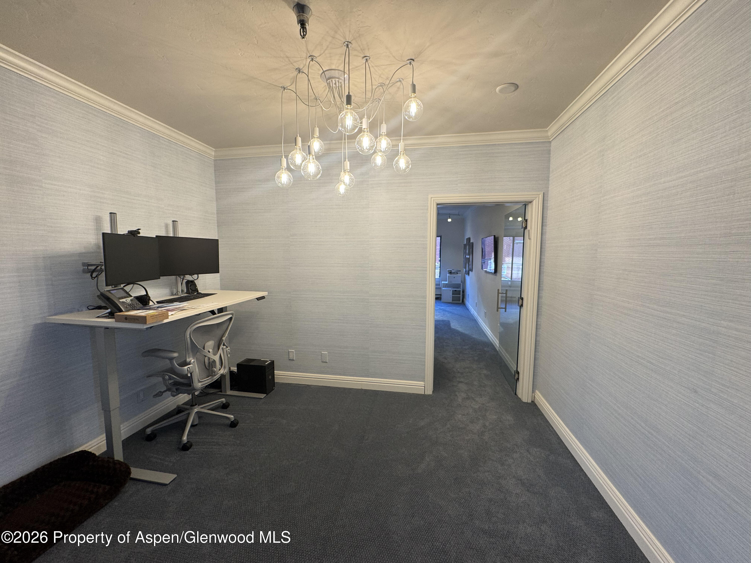 533 E Hopkins Avenue Aspen CO 81611