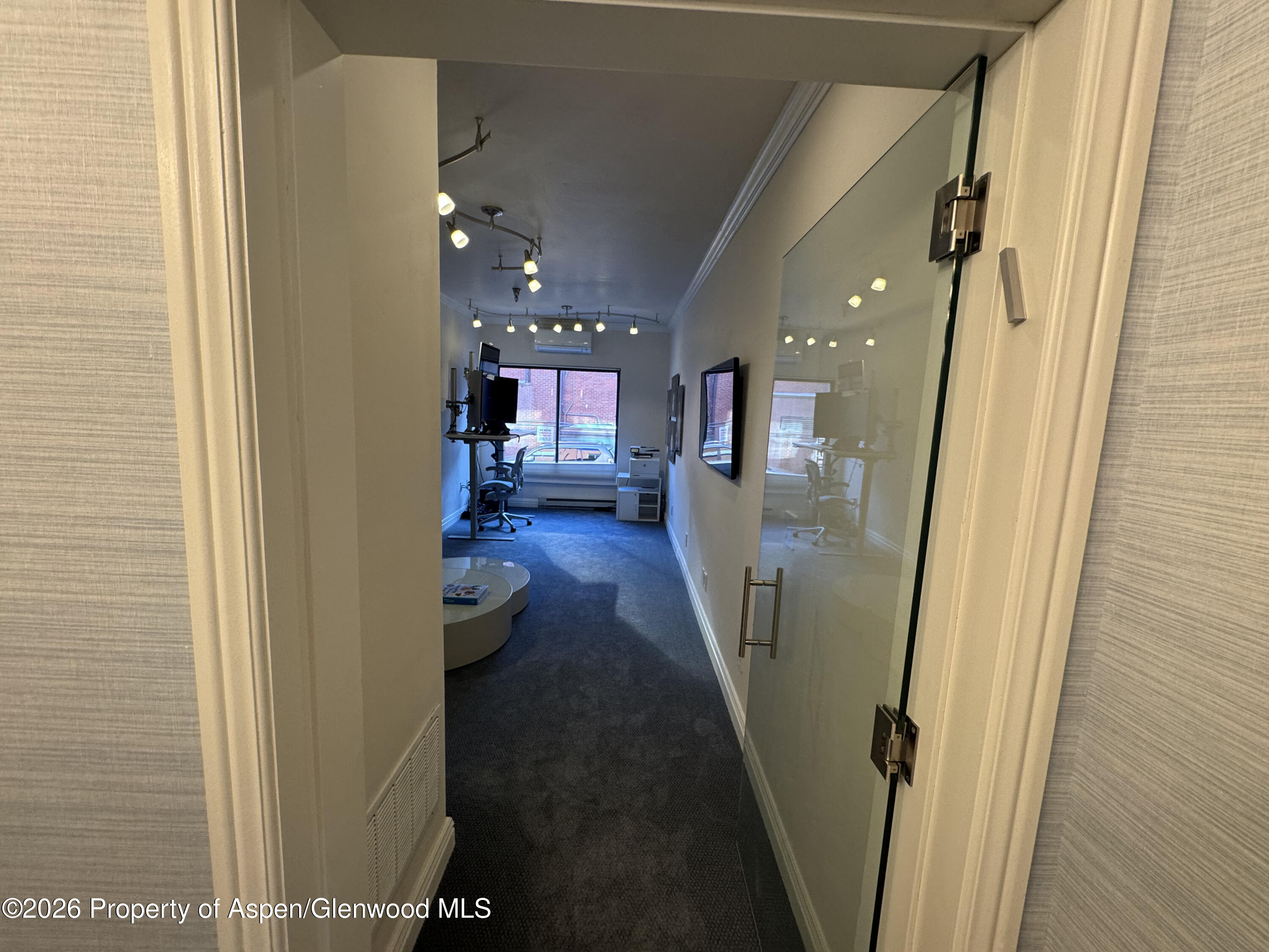 533 E Hopkins Avenue Aspen CO 81611