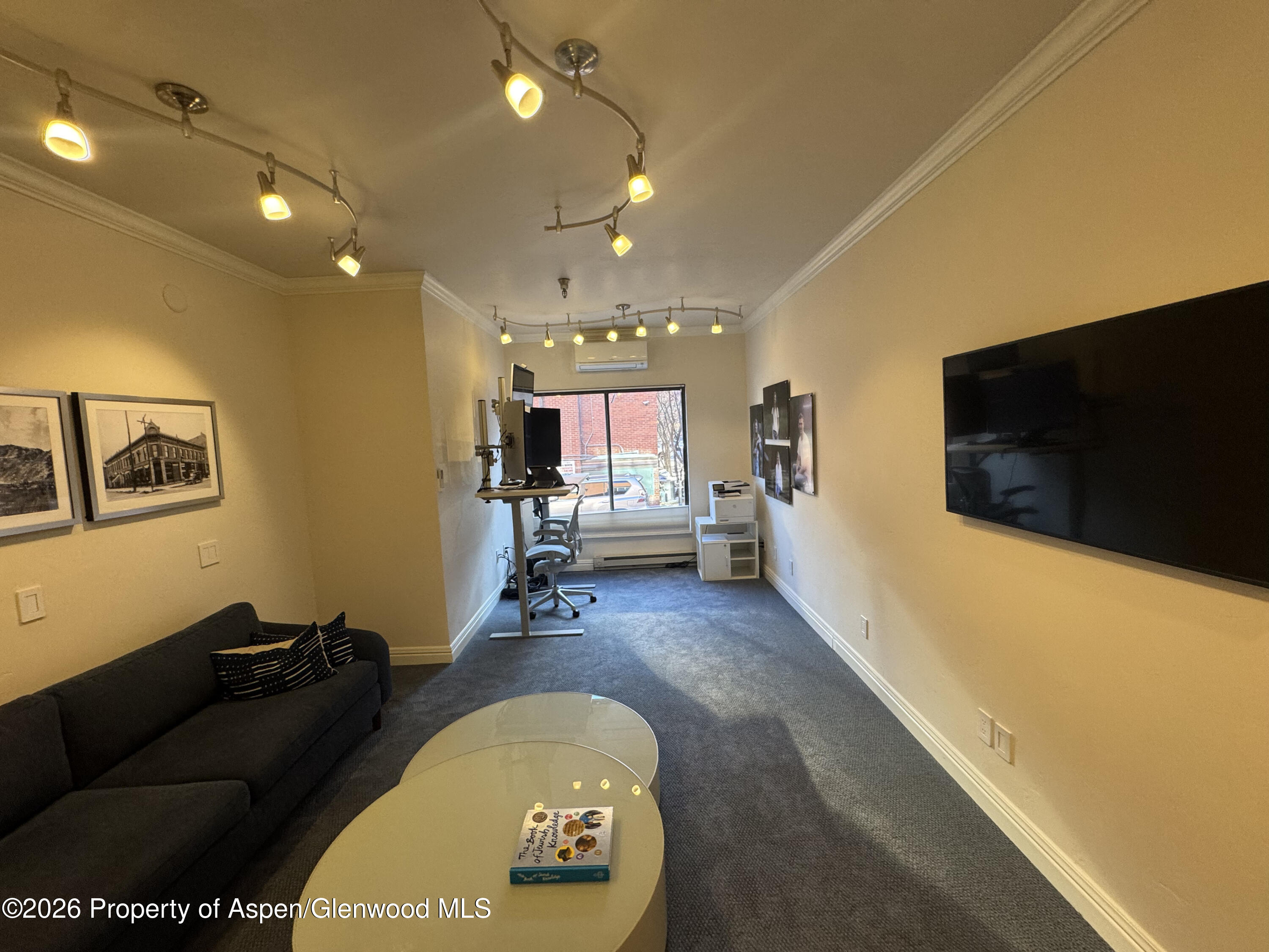 533 E Hopkins Avenue Aspen CO 81611