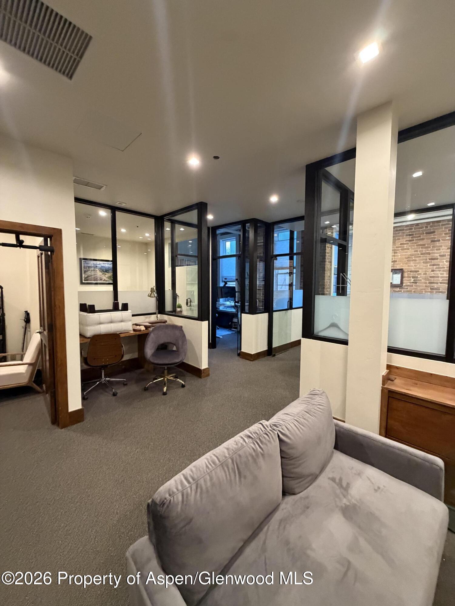 Aspen CO, 510 E Hyman Avenue, Unit 21