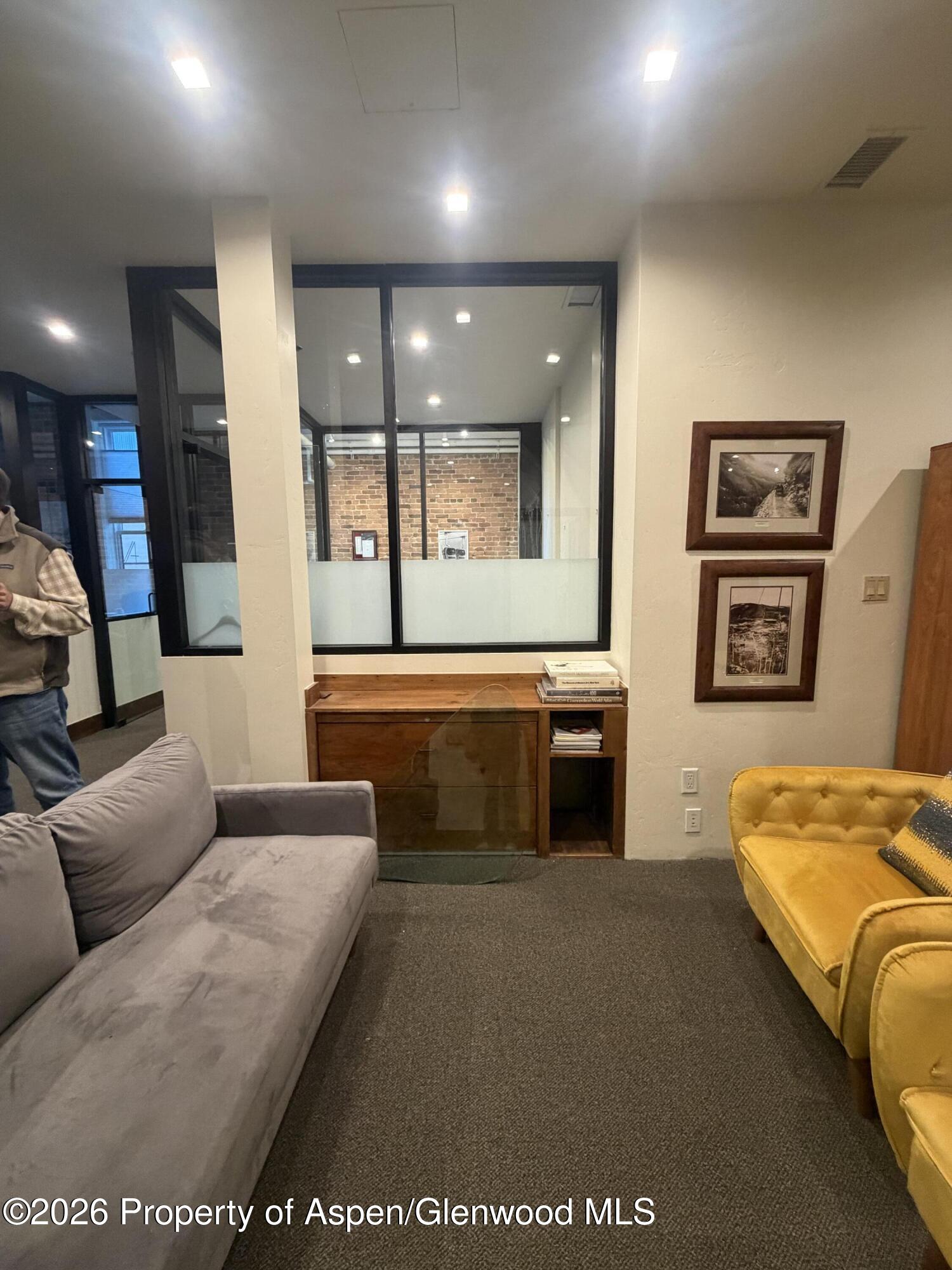 510 E Hyman Avenue Aspen CO 81611