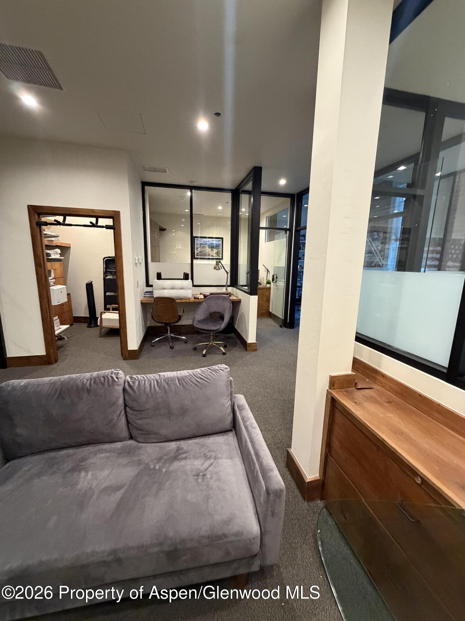 510 E Hyman Avenue Aspen CO 81611