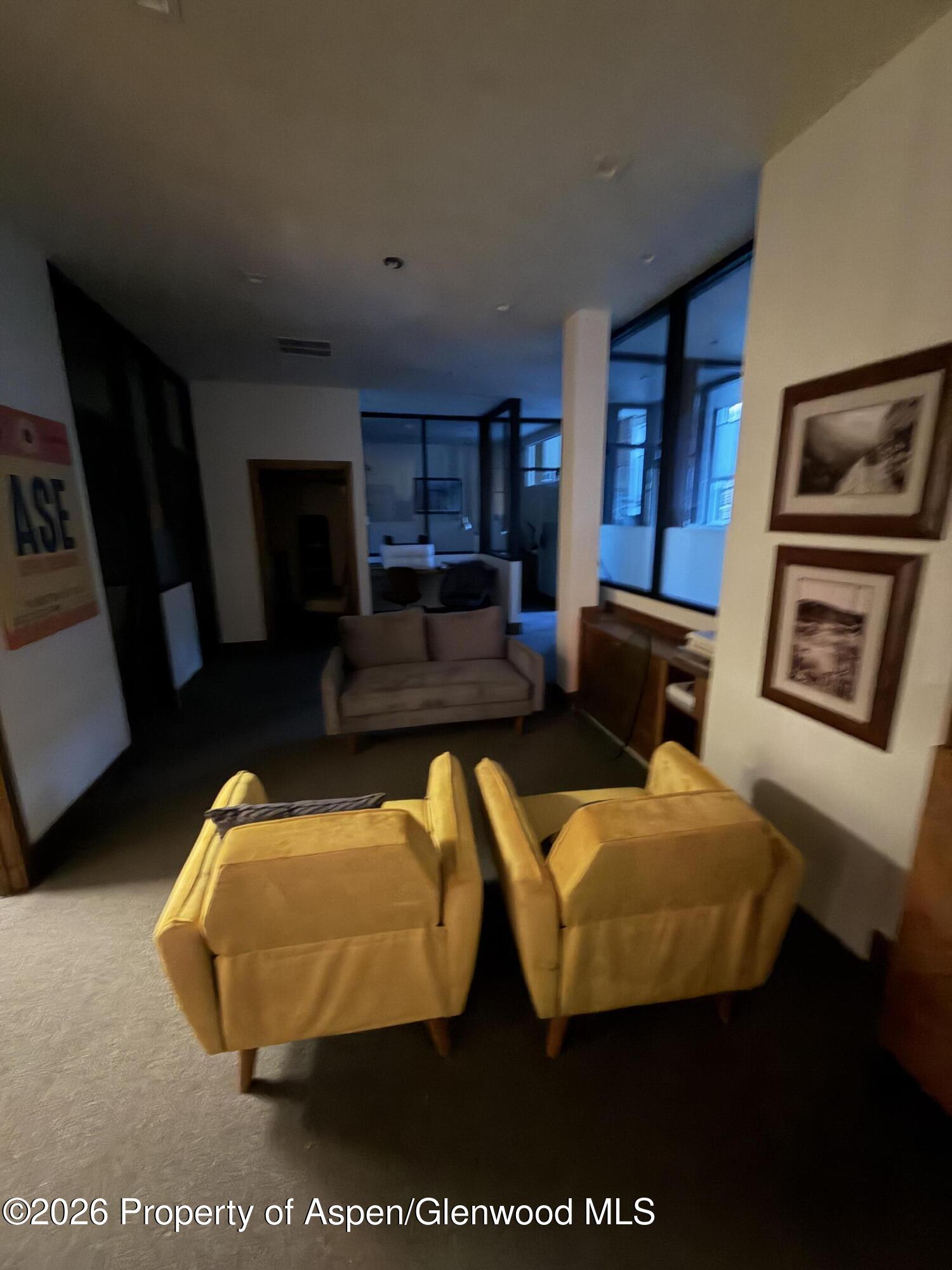 510 E Hyman Avenue Aspen CO 81611