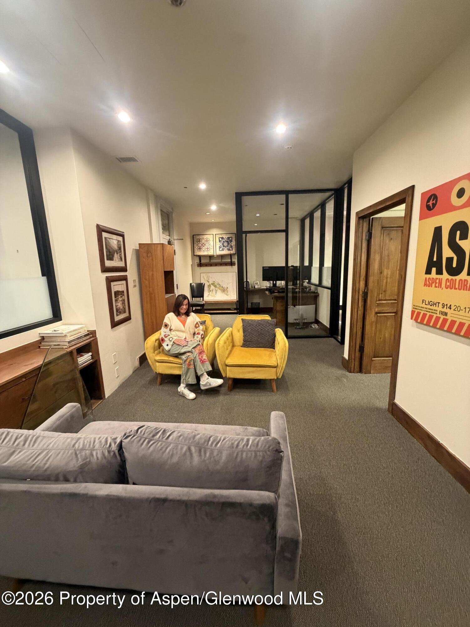 510 E Hyman Avenue Aspen CO 81611