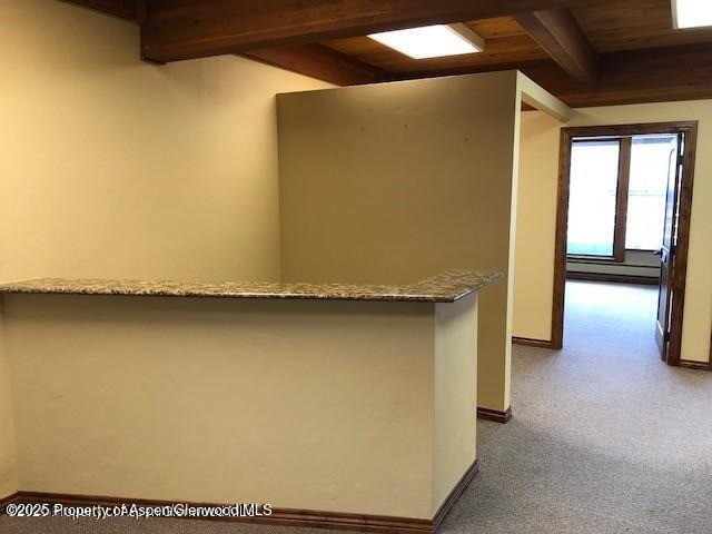 720 E Durant Avenue Aspen CO 81611