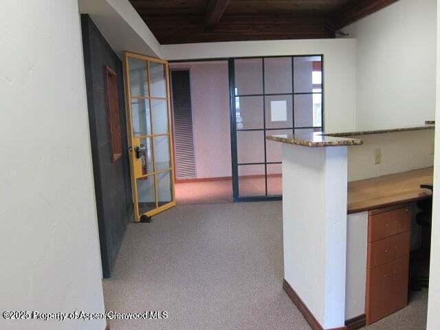 720 E Durant Avenue Aspen CO 81611