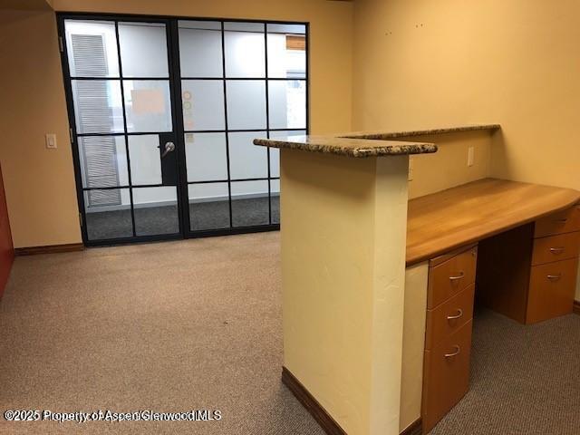 720 E Durant Avenue Aspen CO 81611