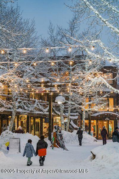 72 Snowmass Village Mall Snowmass Village CO 81615