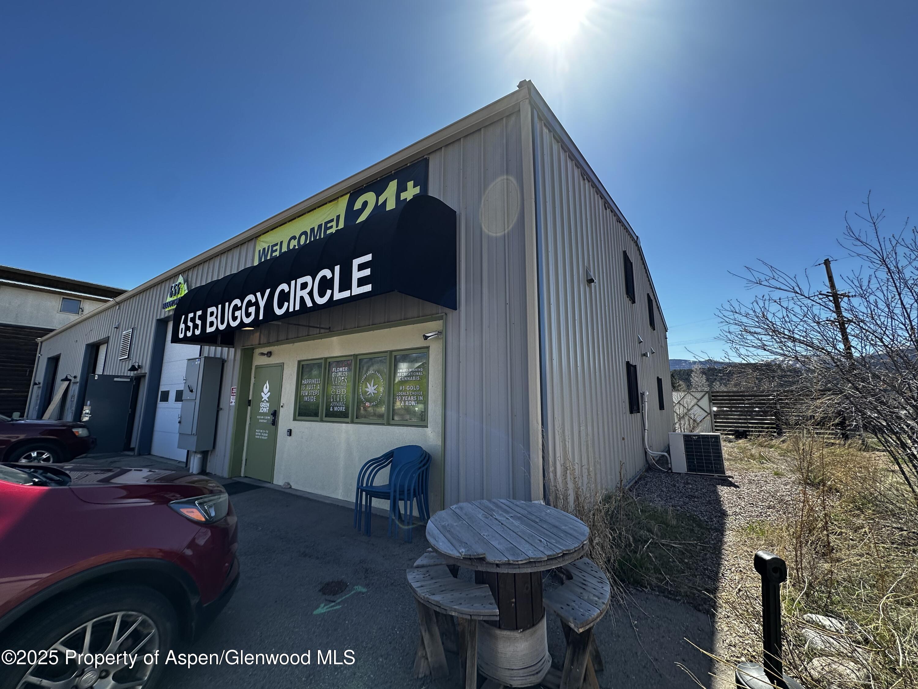 655 Buggy Circle Carbondale CO 81623