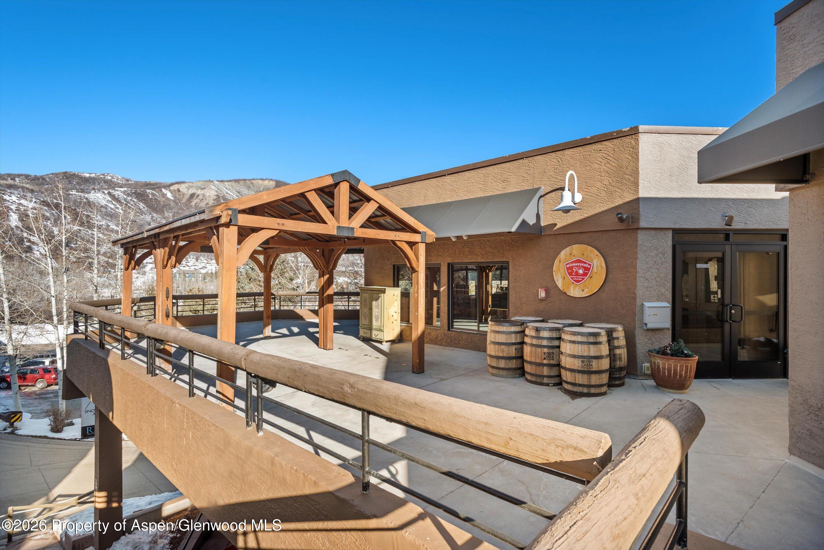 105 Daly Lane Snowmass Village CO 81615
