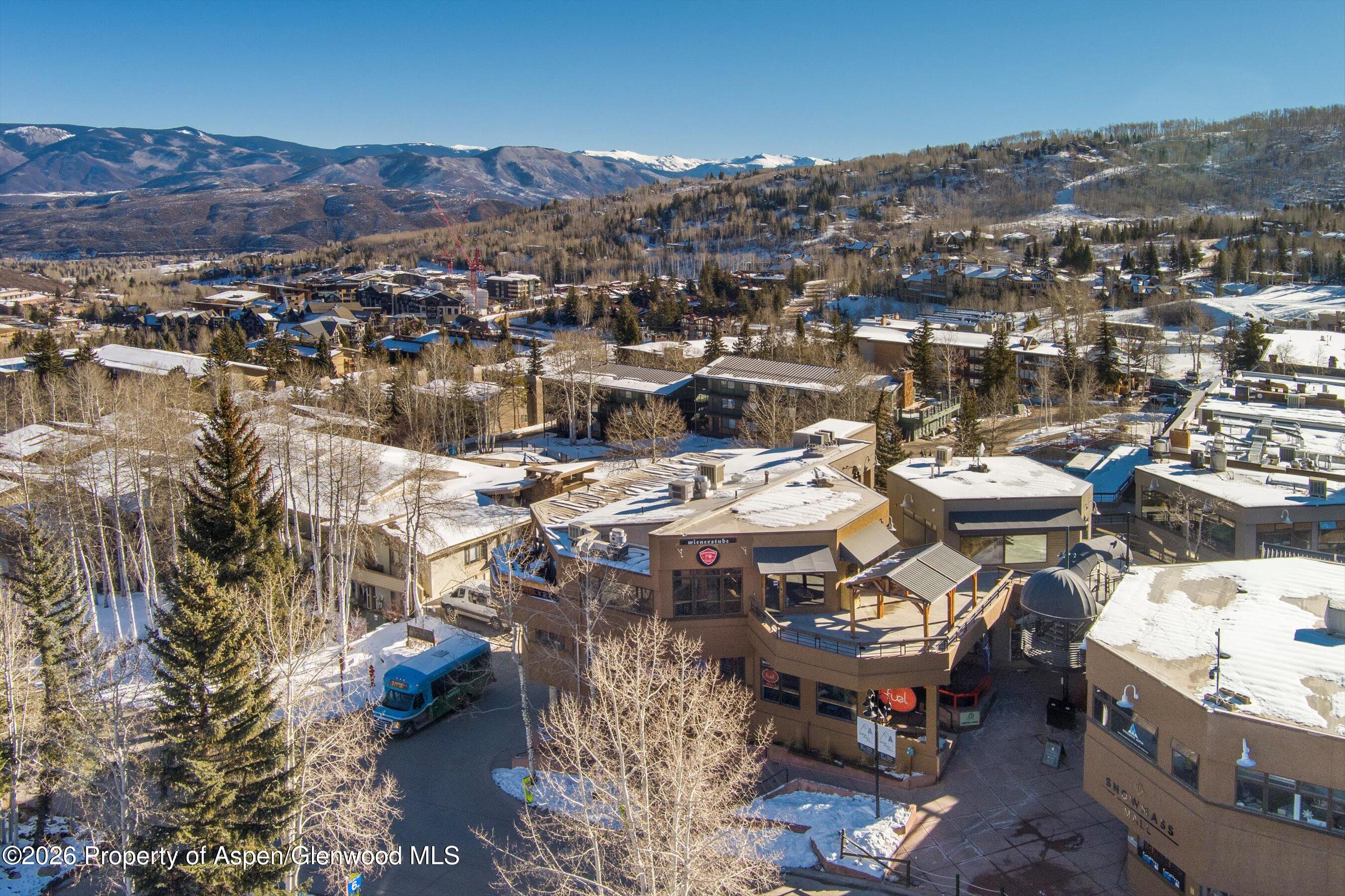 105 Daly Lane Snowmass Village CO 81615
