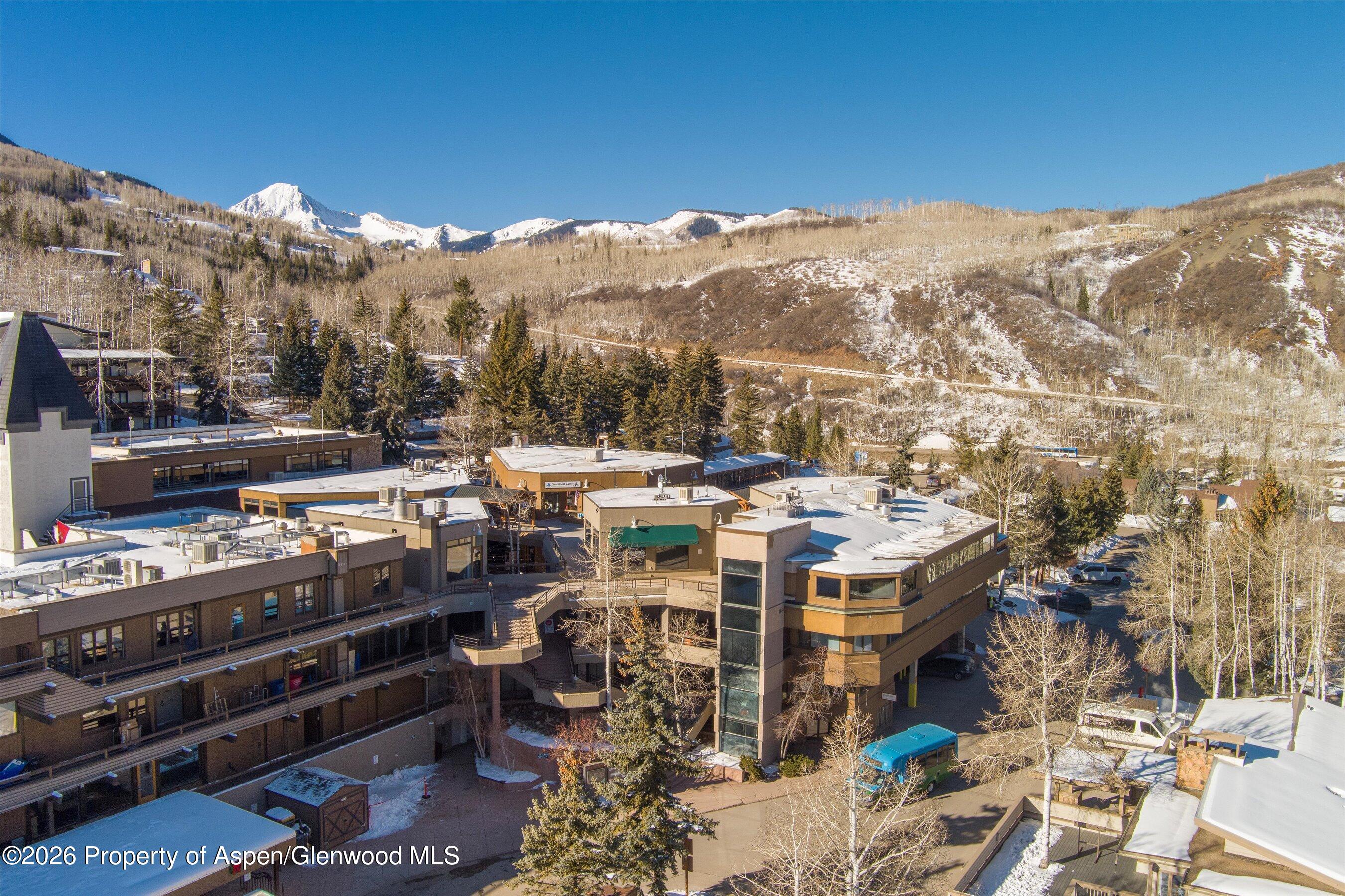 105 Daly Lane Snowmass Village CO 81615