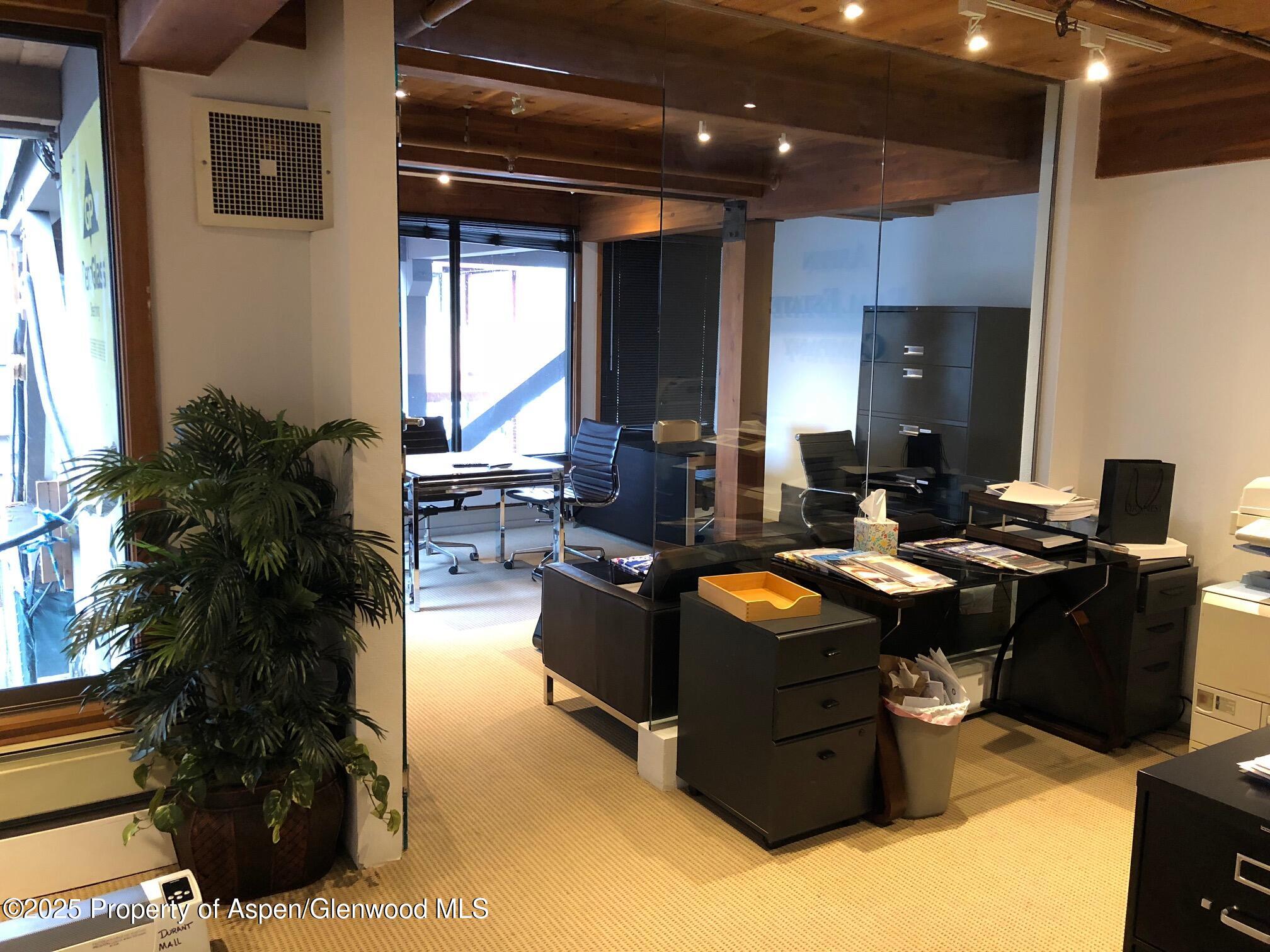 710 E Durant Avenue Aspen CO 81611