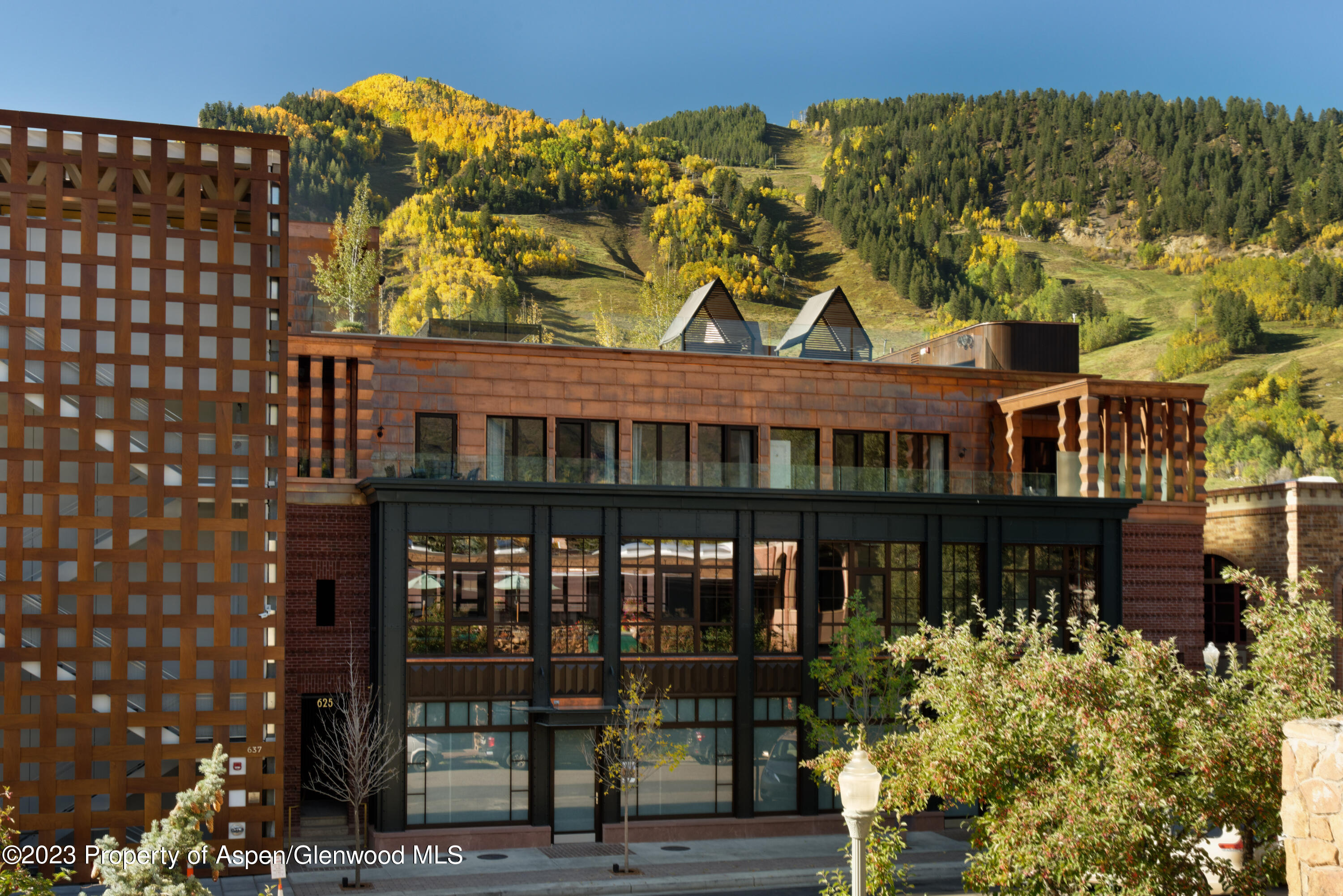 625 E Hyman Avenue Aspen CO 81611