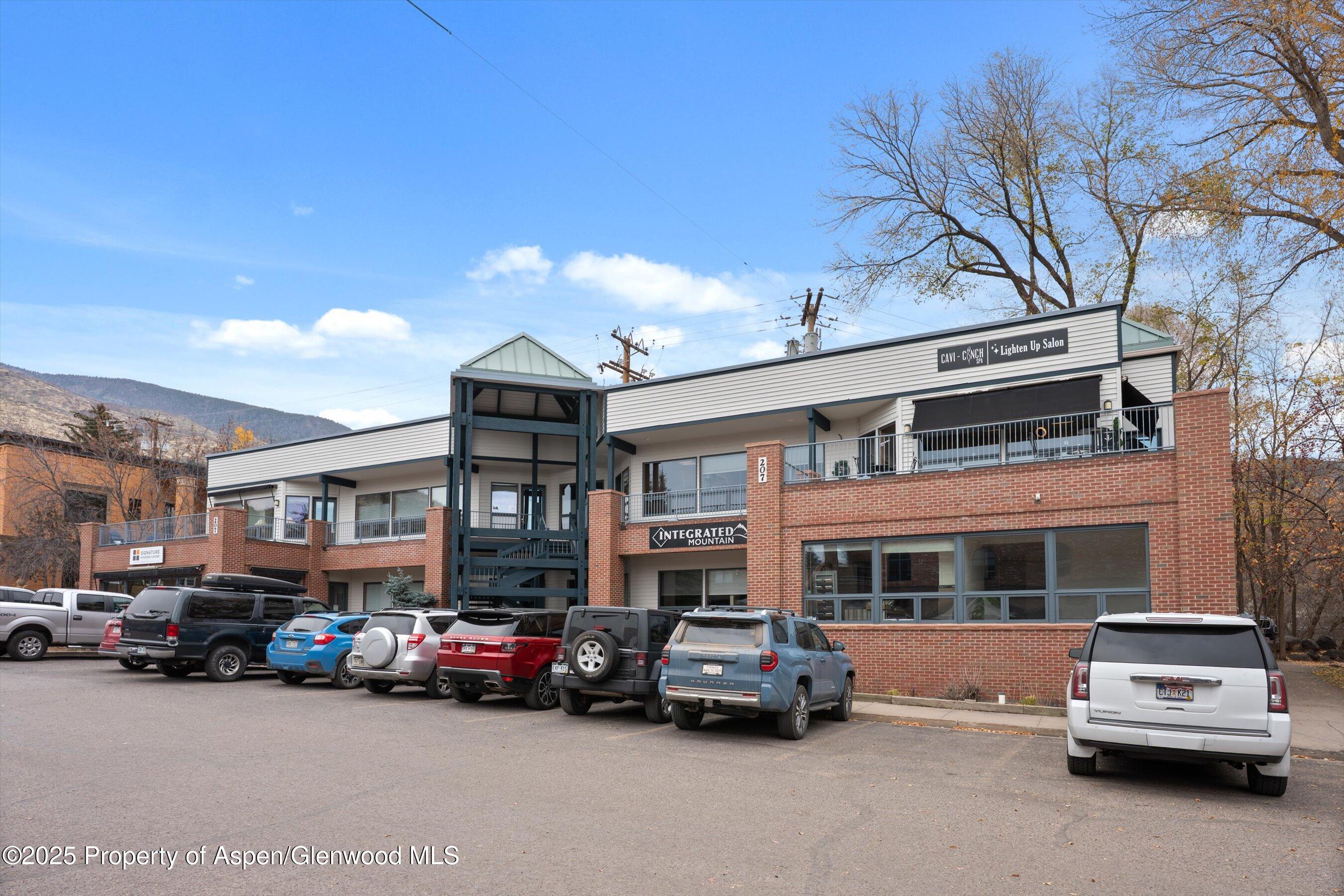 207 Basalt Center Circle Basalt CO 81621