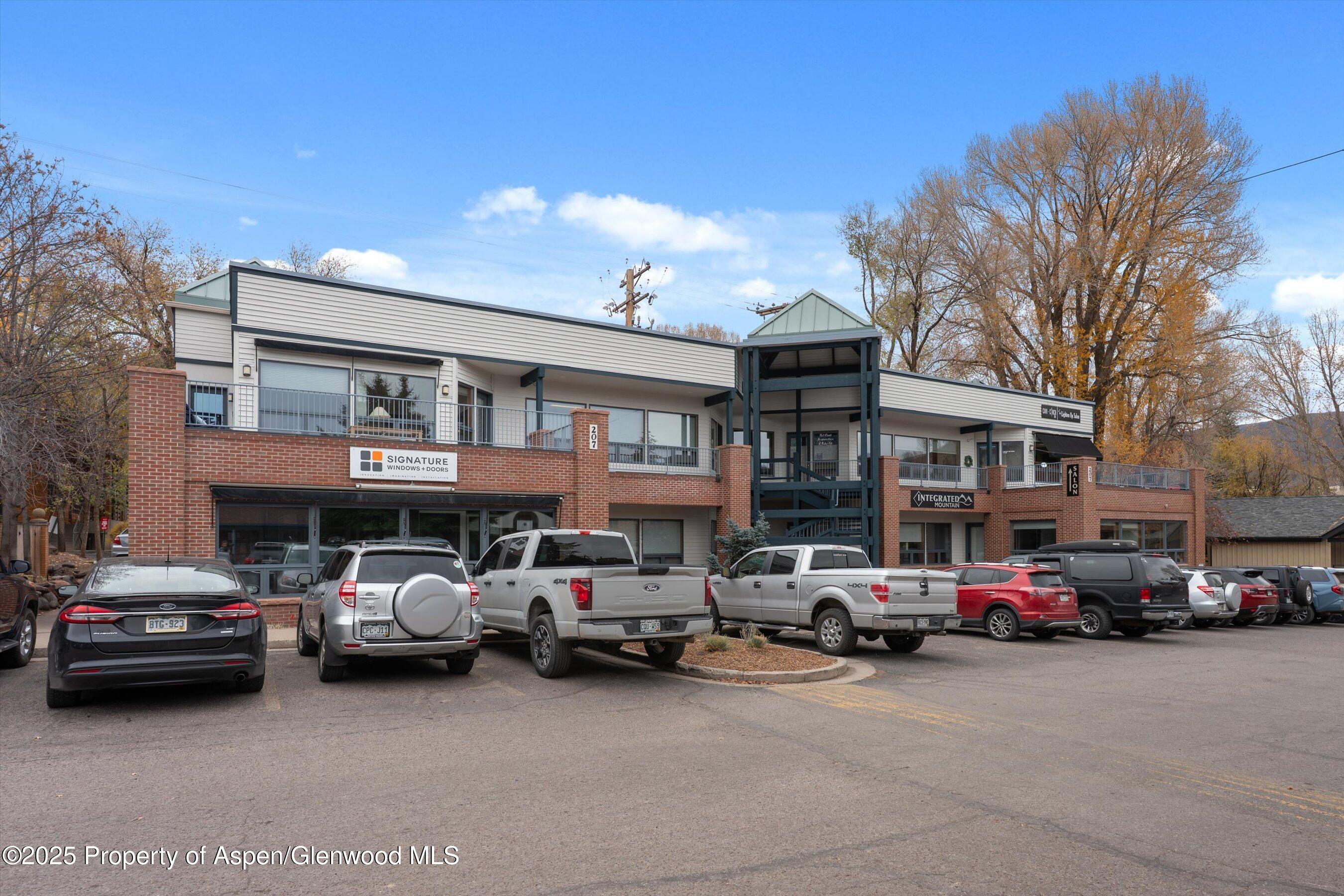 207 Basalt Center Circle Basalt CO 81621