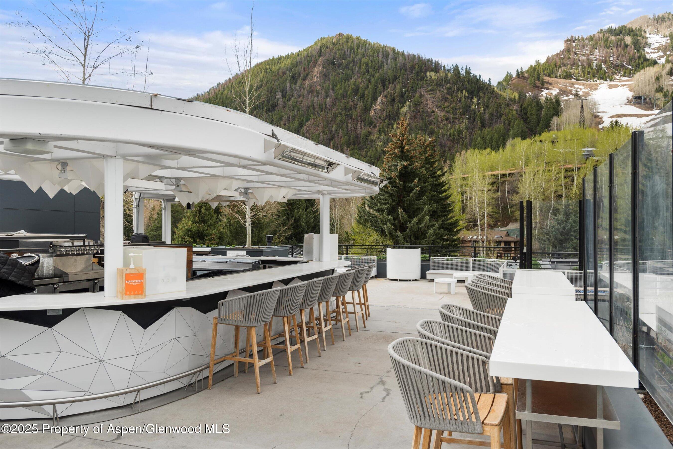 550 S Spring Street Aspen CO 81611