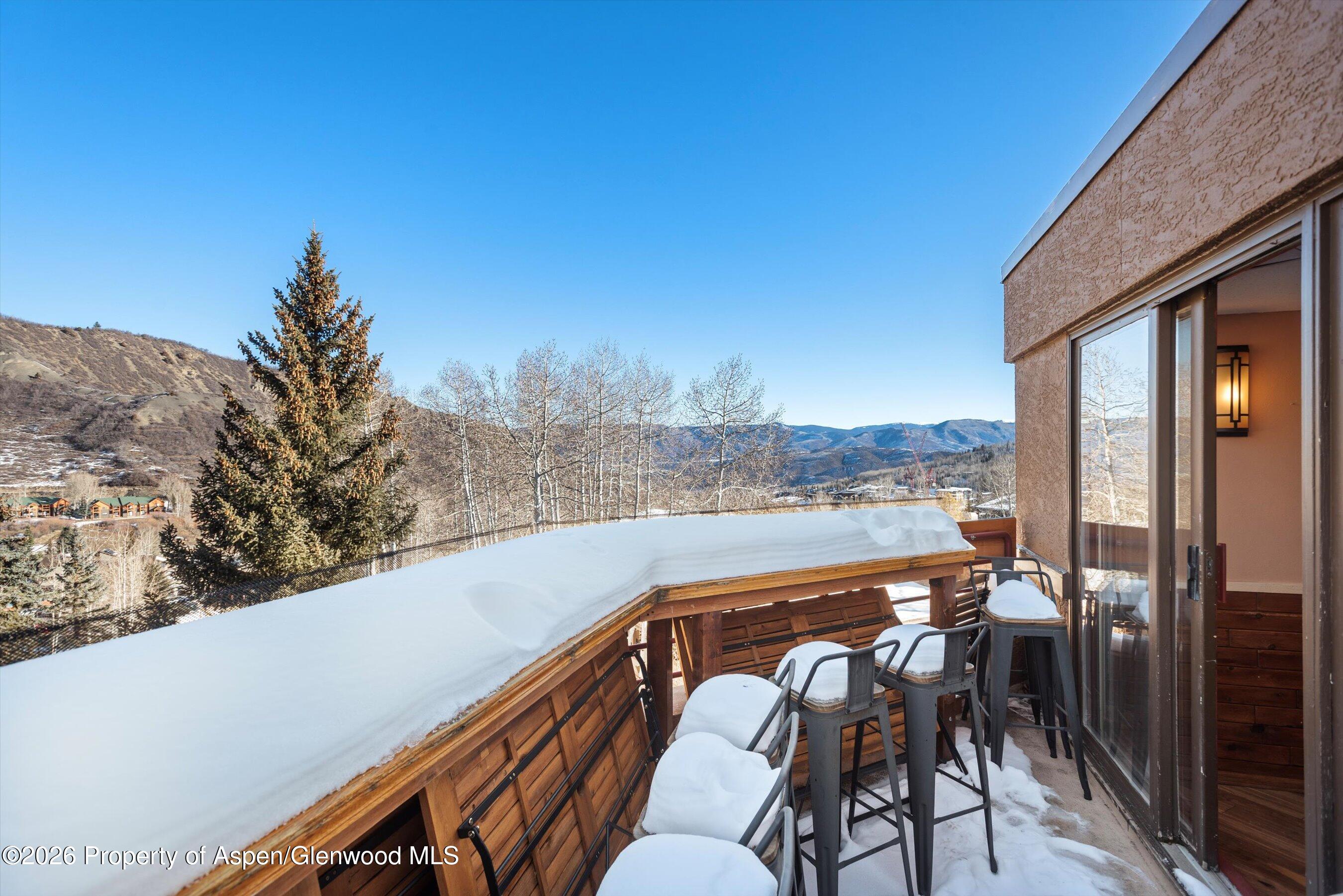 105 Daly Lane Snowmass Village CO 81615