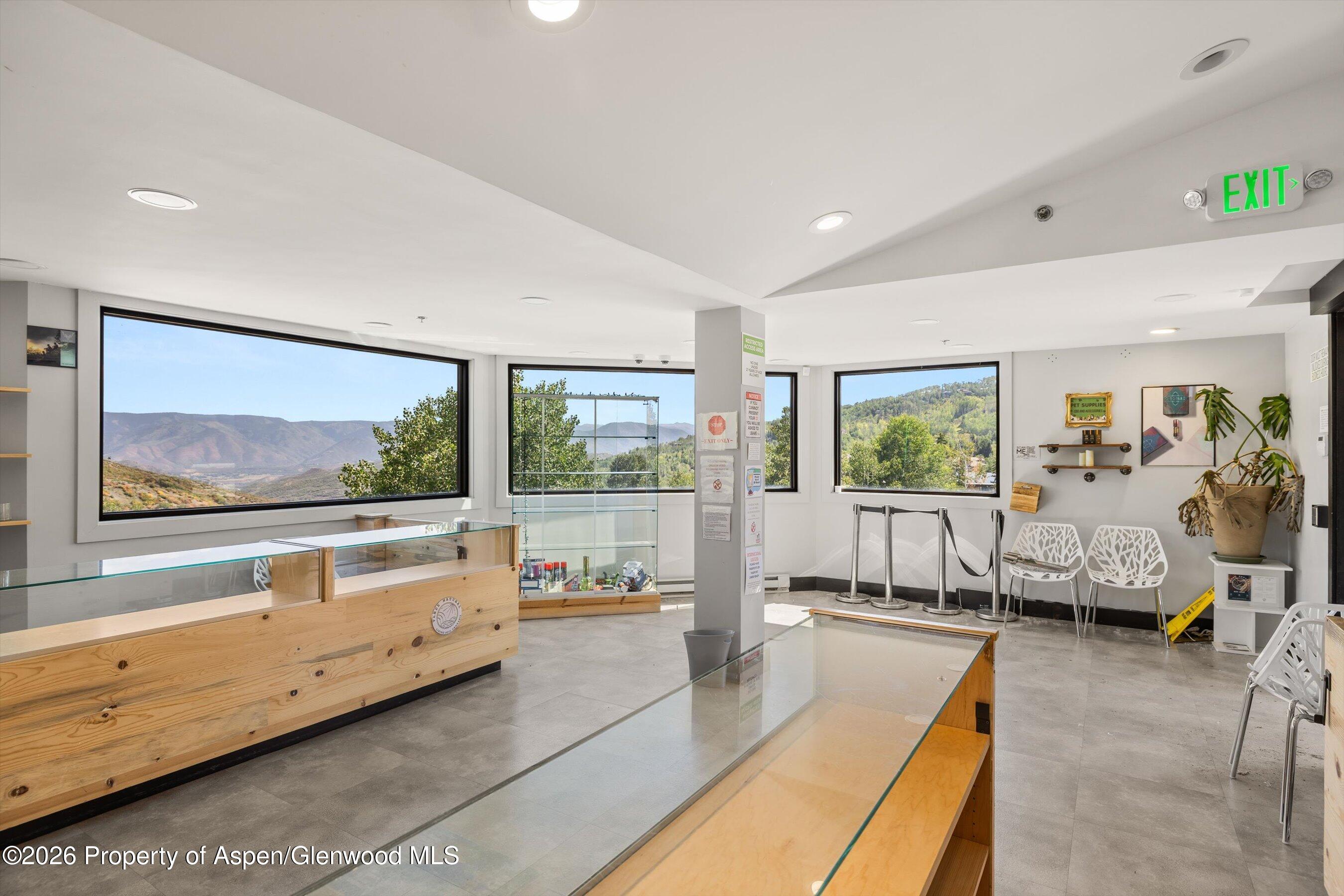 105 Daly Lane Snowmass Village CO 81615