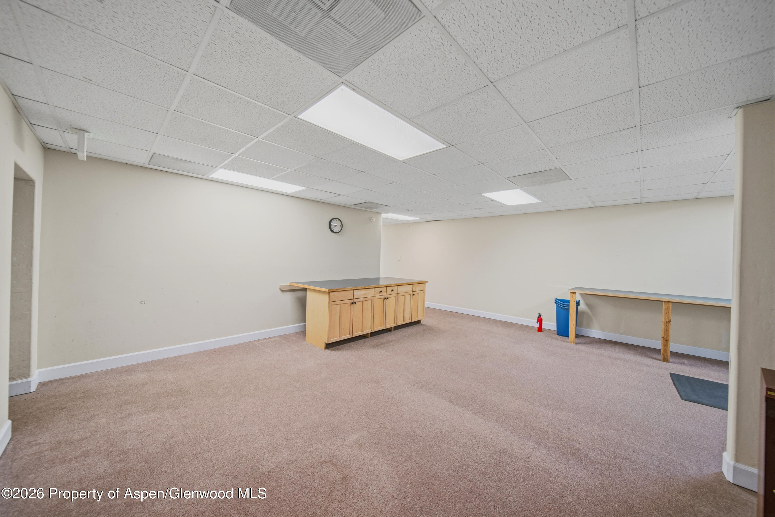 67 N 3rd Street Carbondale CO 81623