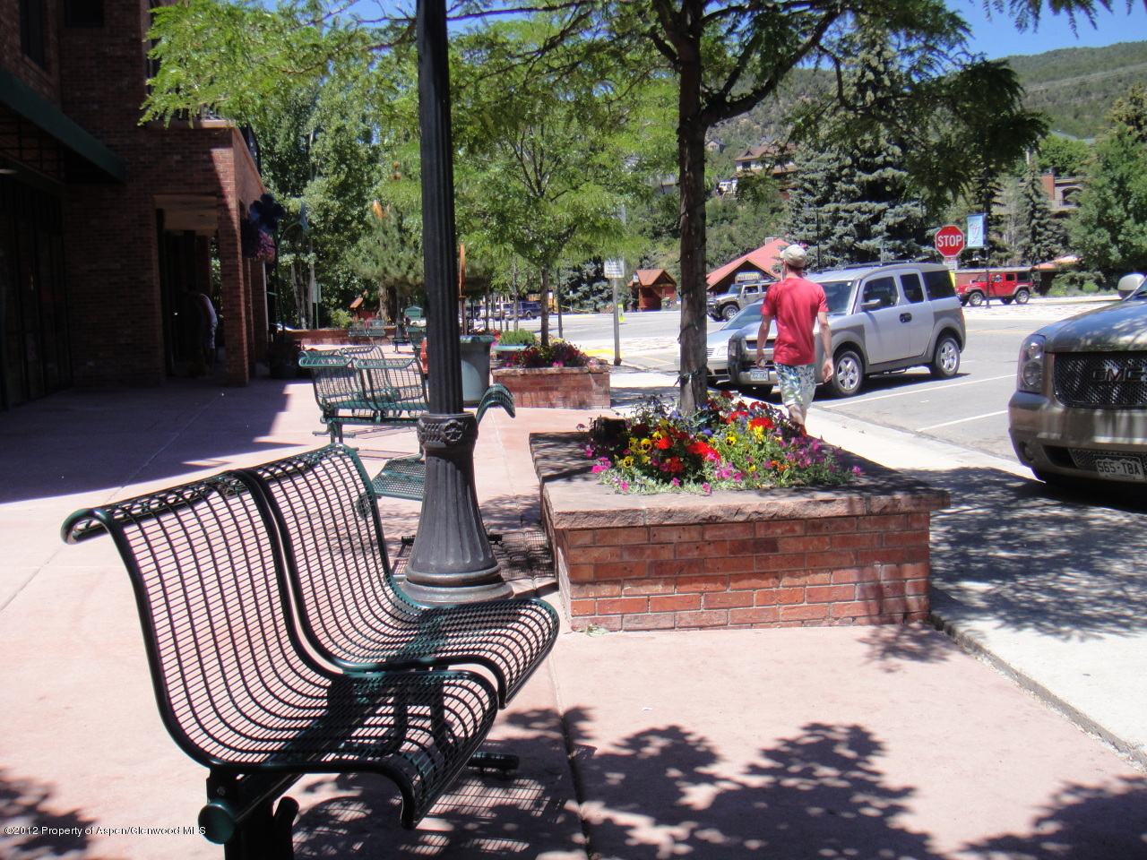 355 Gold Rivers Court Basalt CO 81621