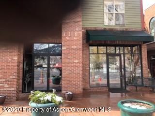 355 Gold Rivers Court Basalt CO 81621