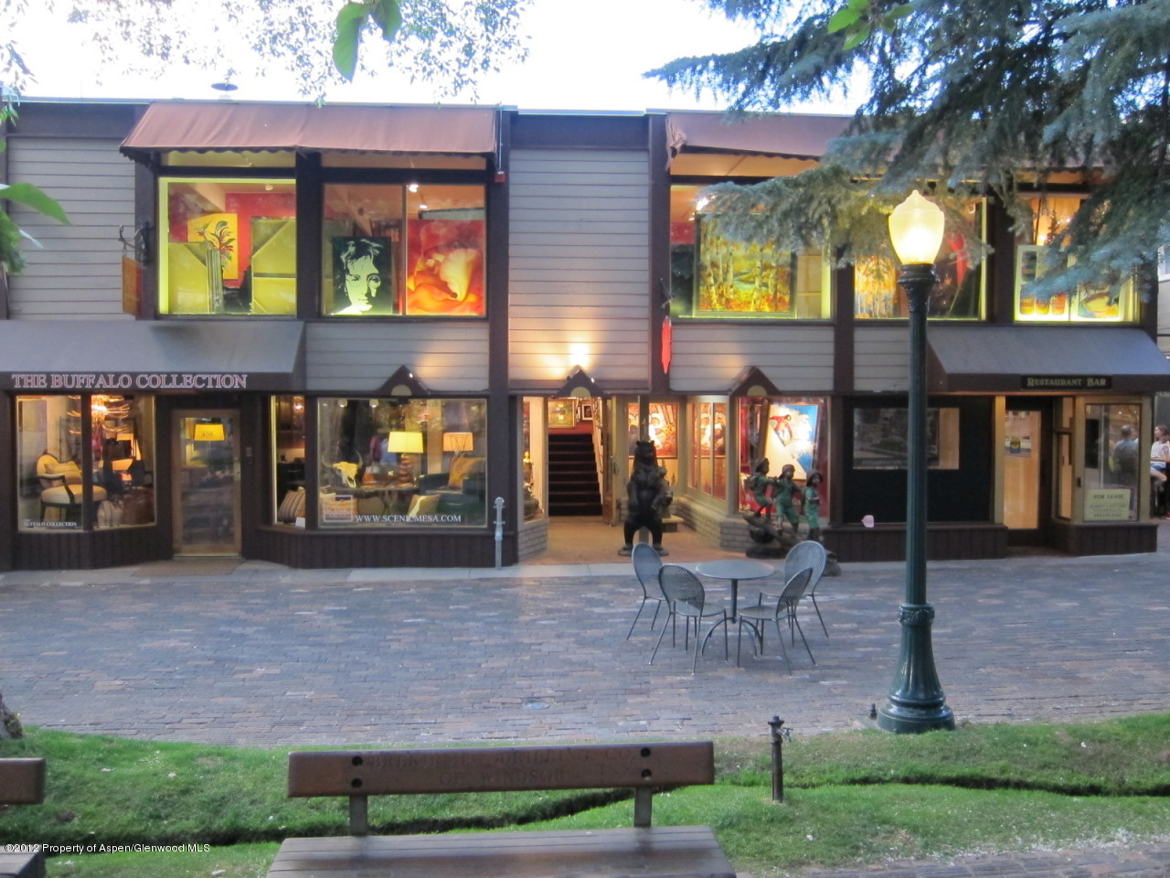 410 E Hyman Avenue Aspen CO 81611