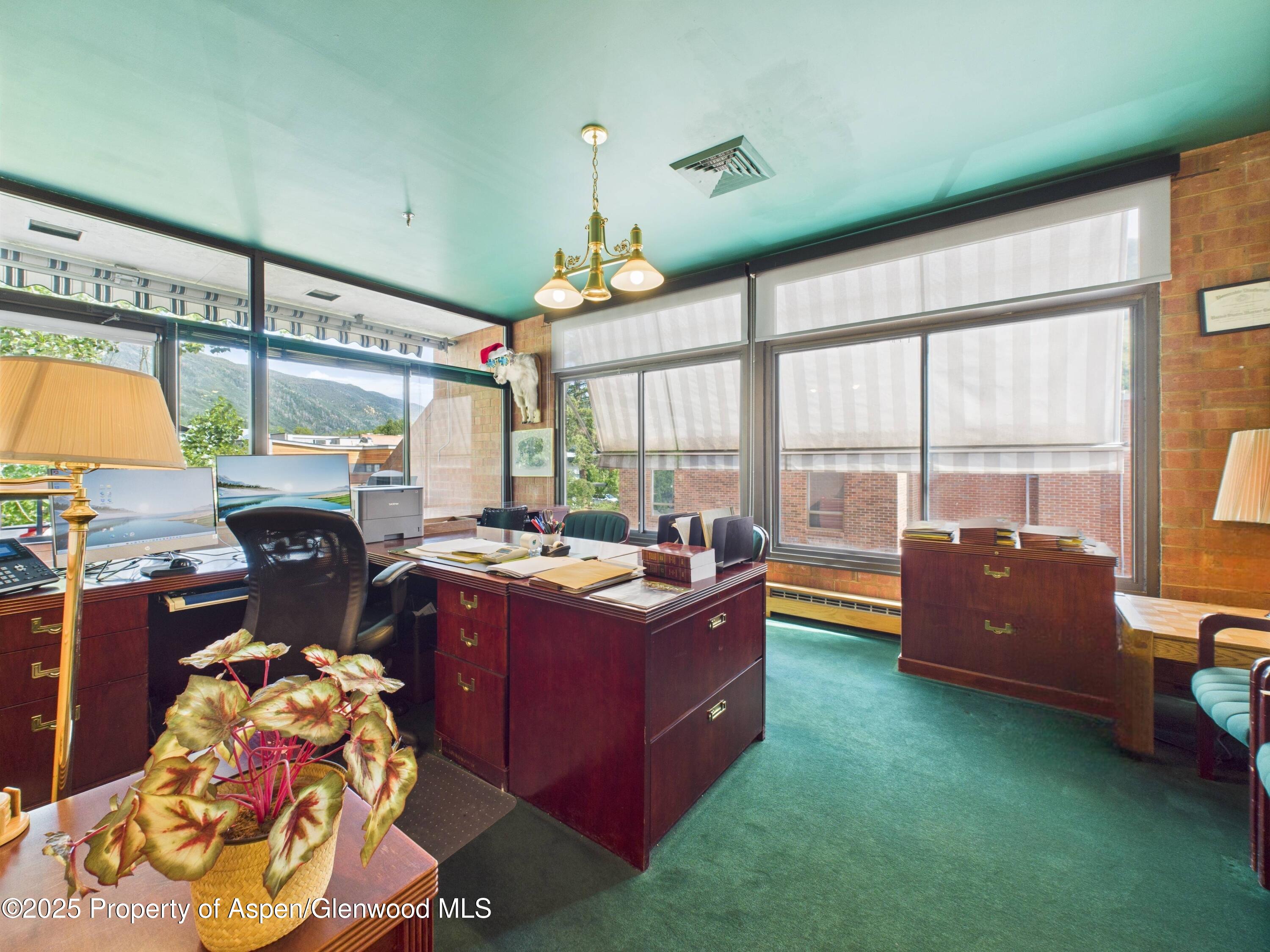 533 E Hopkins Avenue Aspen CO 81611