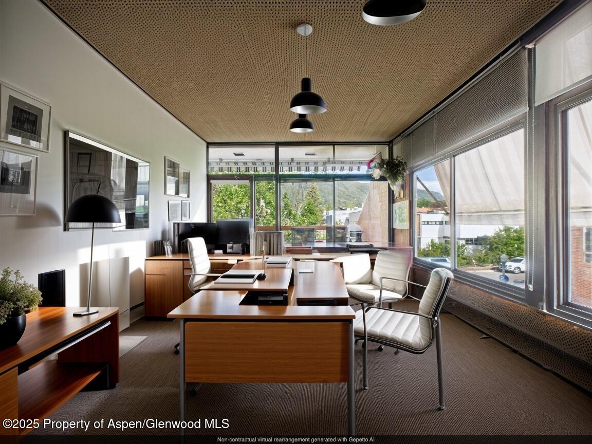 533 E Hopkins Avenue Aspen CO 81611