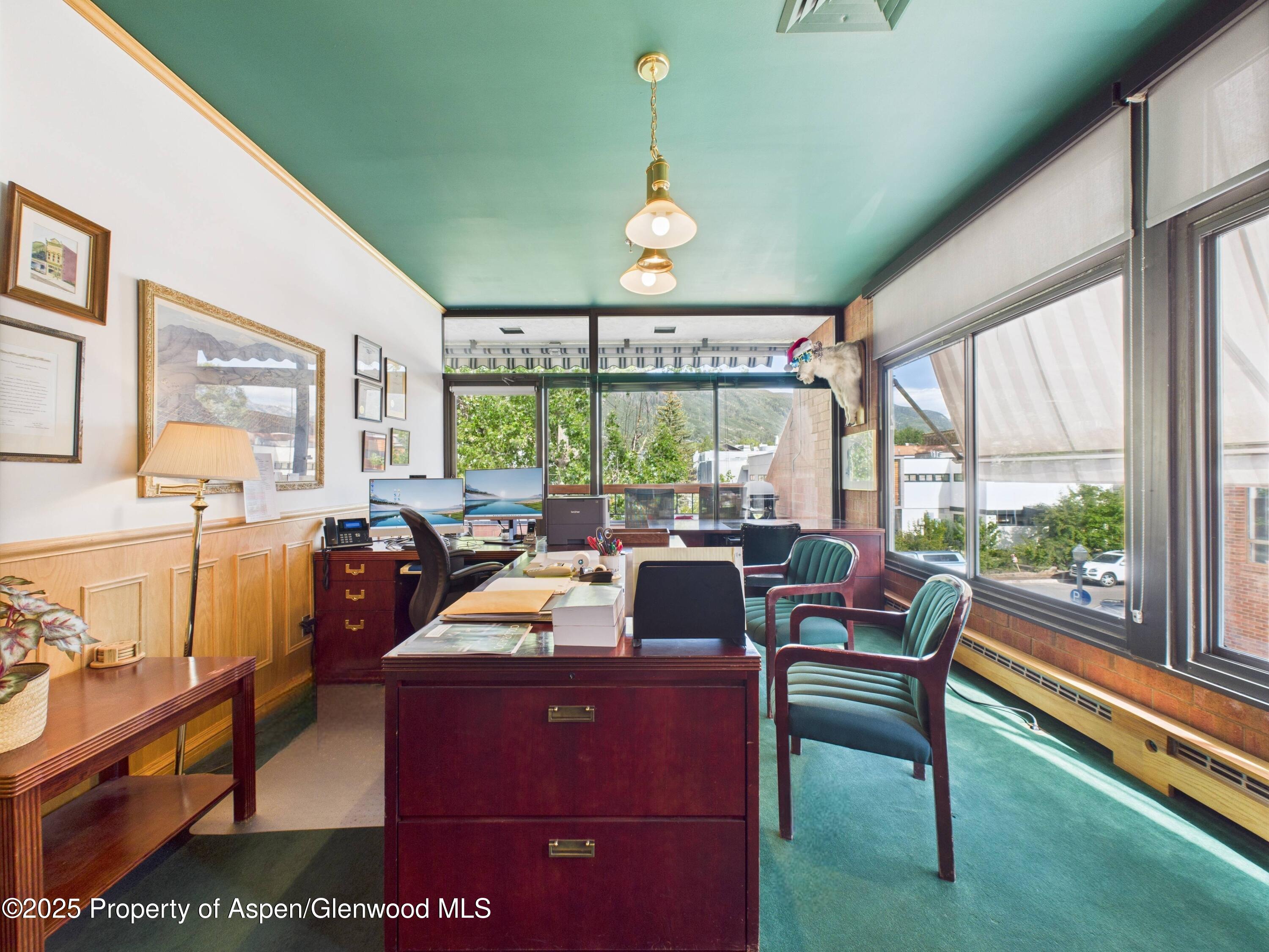 533 E Hopkins Avenue Aspen CO 81611