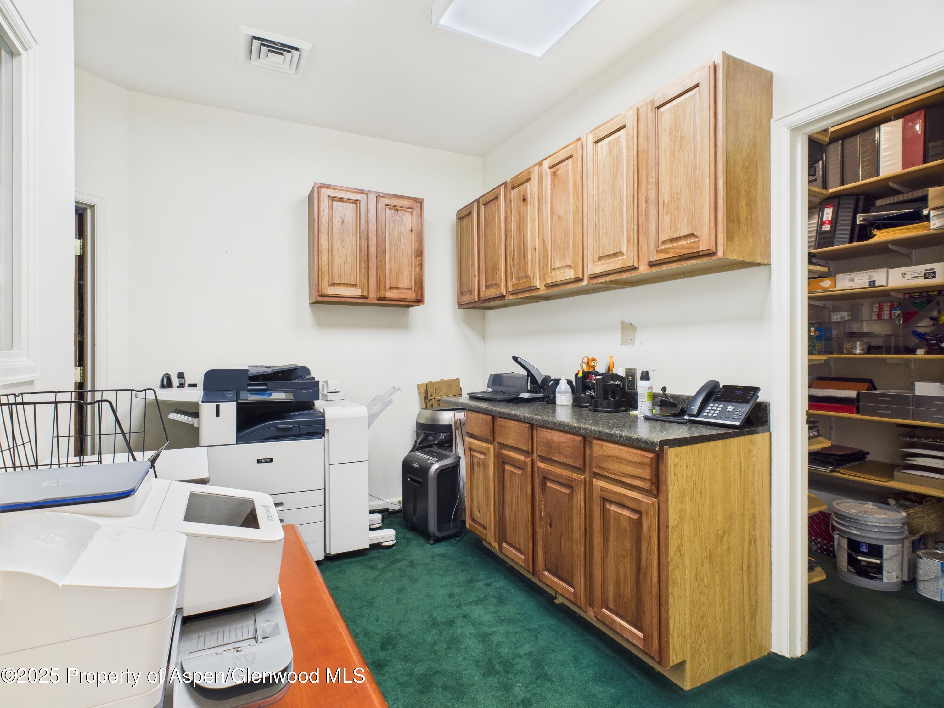 533 E Hopkins Avenue Aspen CO 81611