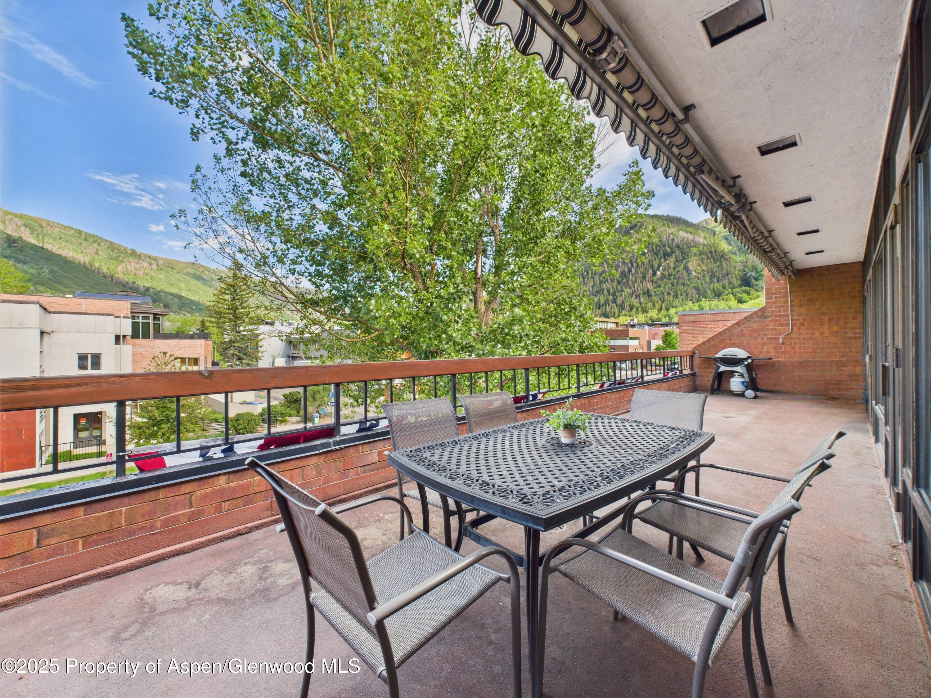 533 E Hopkins Avenue Aspen CO 81611