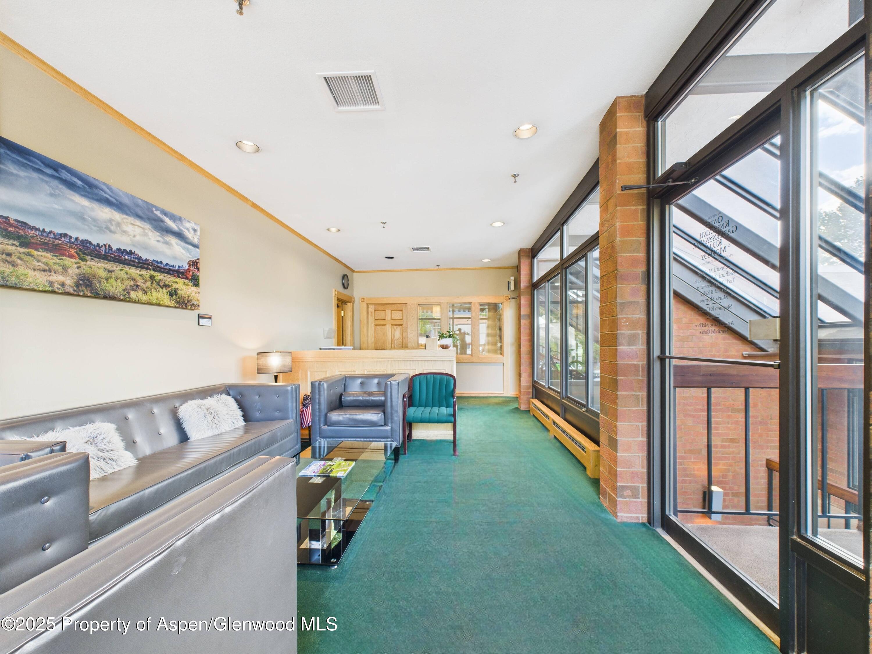 533 E Hopkins Avenue Aspen CO 81611