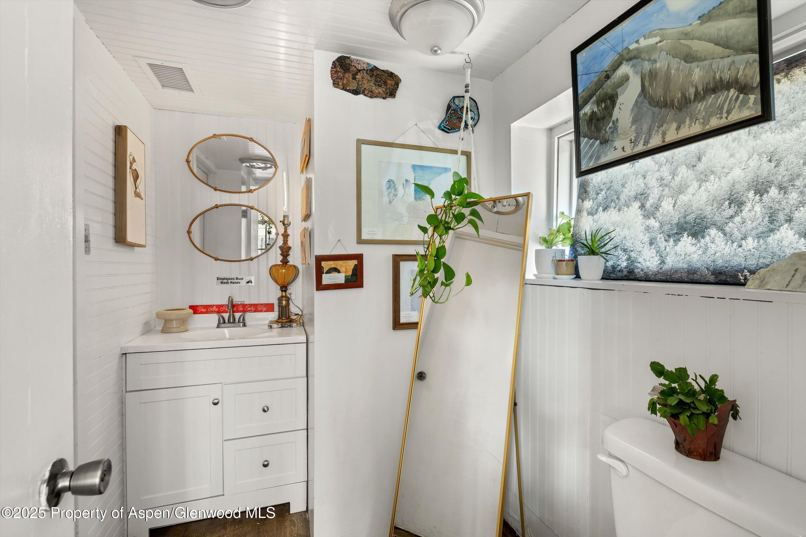 160 & 162 Midland Avenue Basalt CO 81621