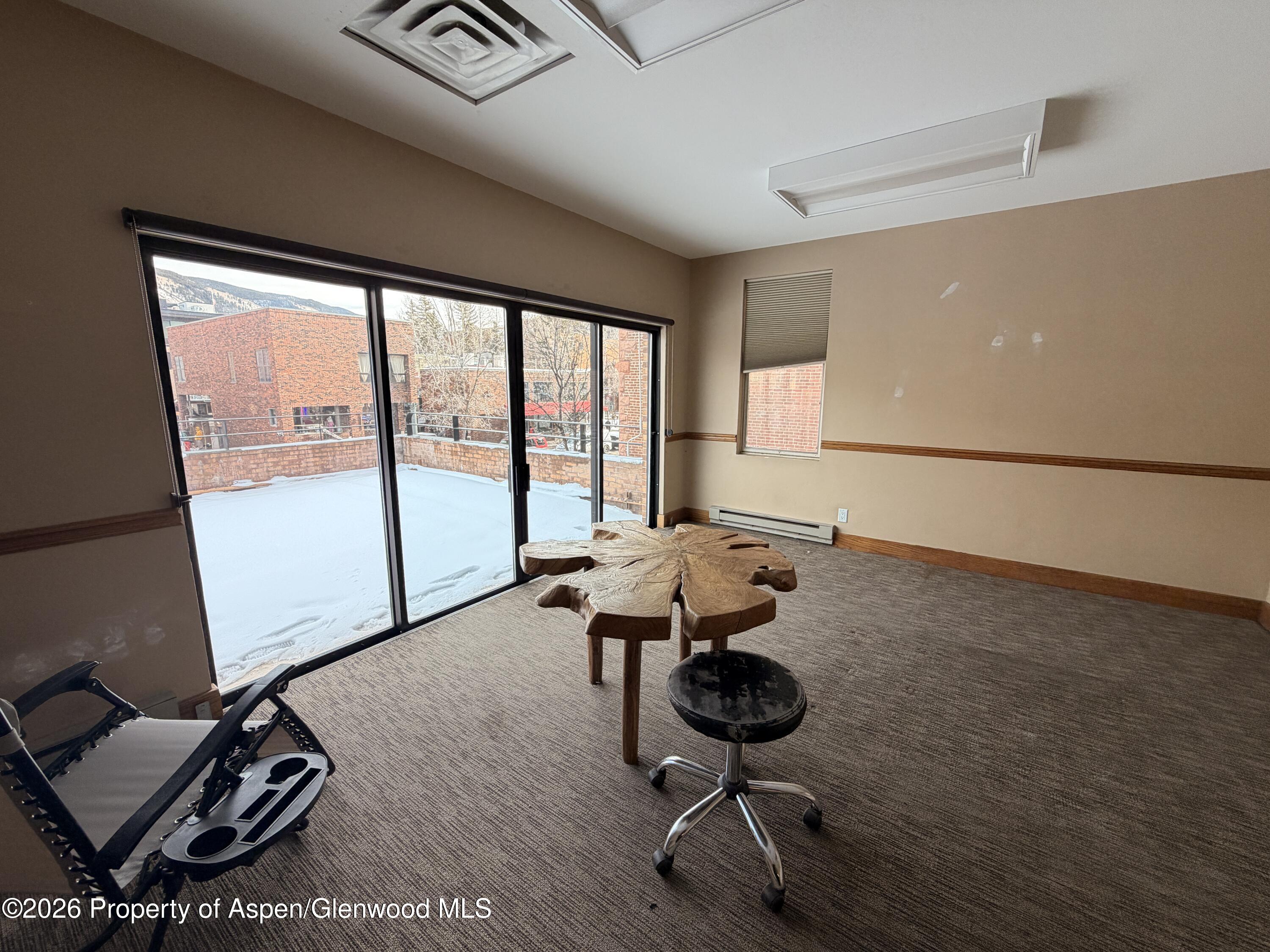 205 S Mill Street Aspen CO 81611