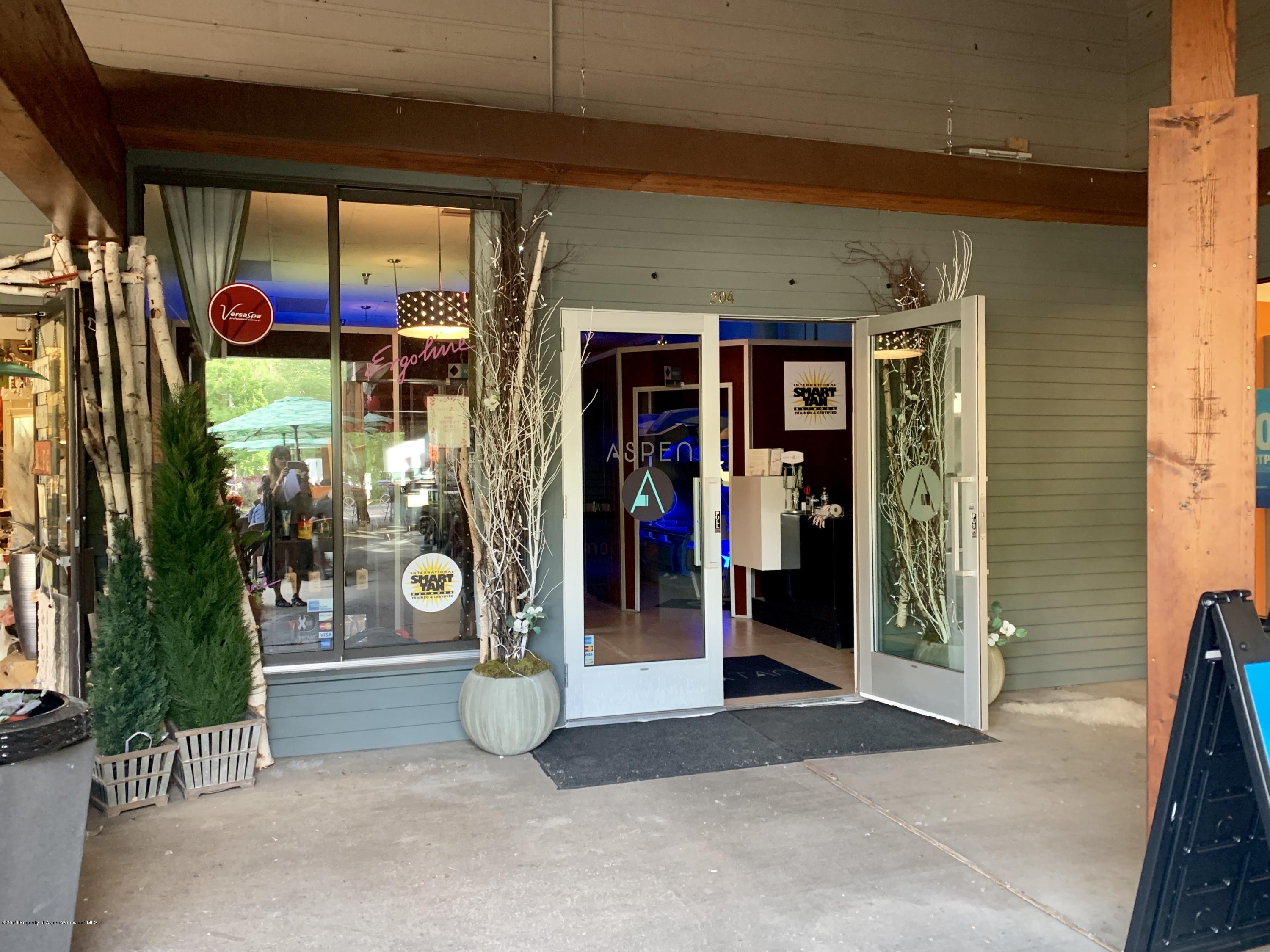 300 Puppy Smith Street Aspen CO 81611