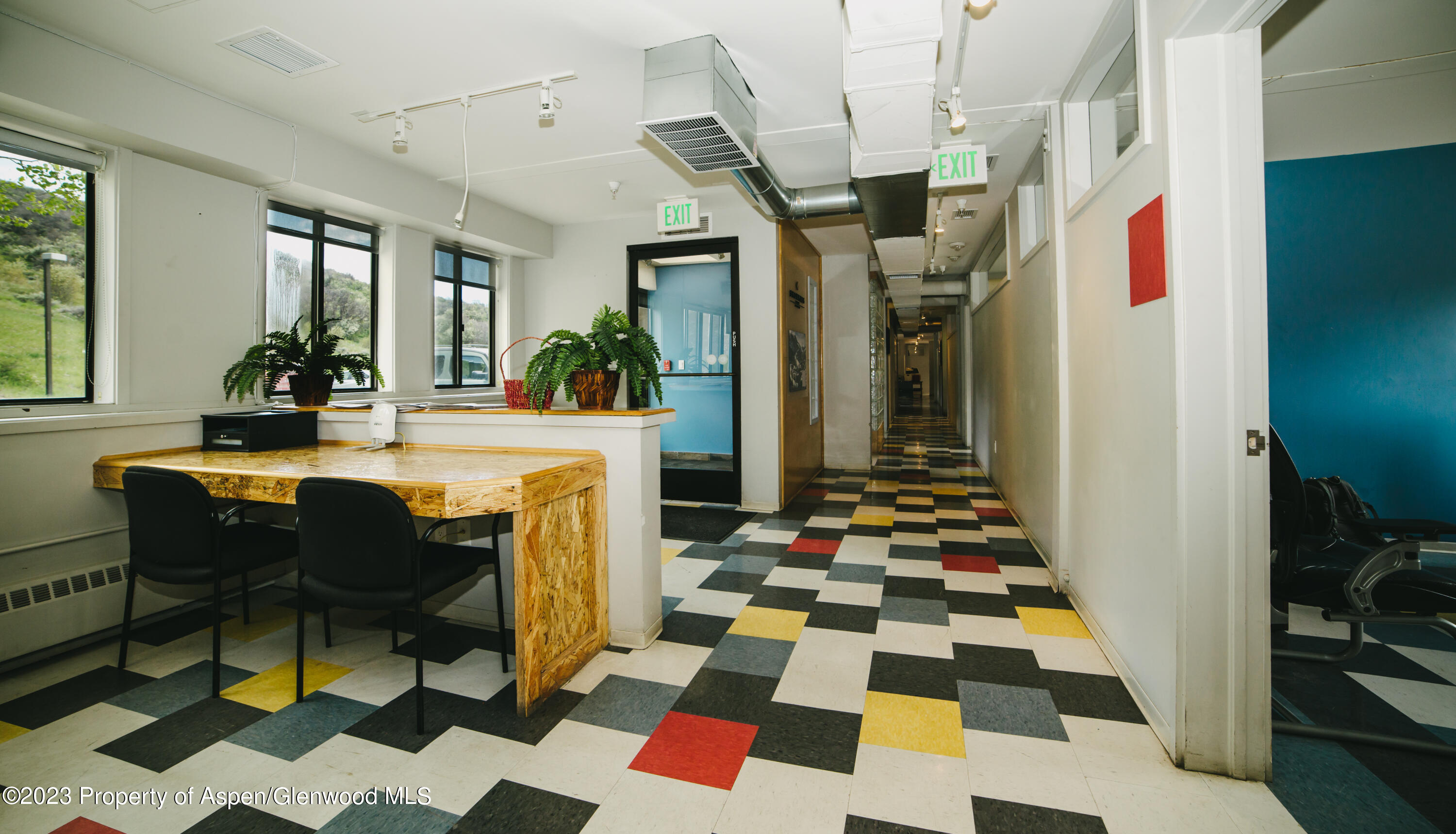 16 Kearns Road Snowmass Village CO 81615