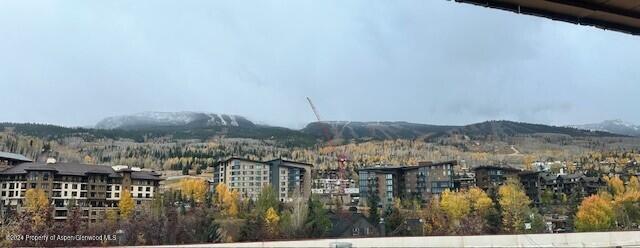 16 Kearns Road Snowmass Village CO 81615