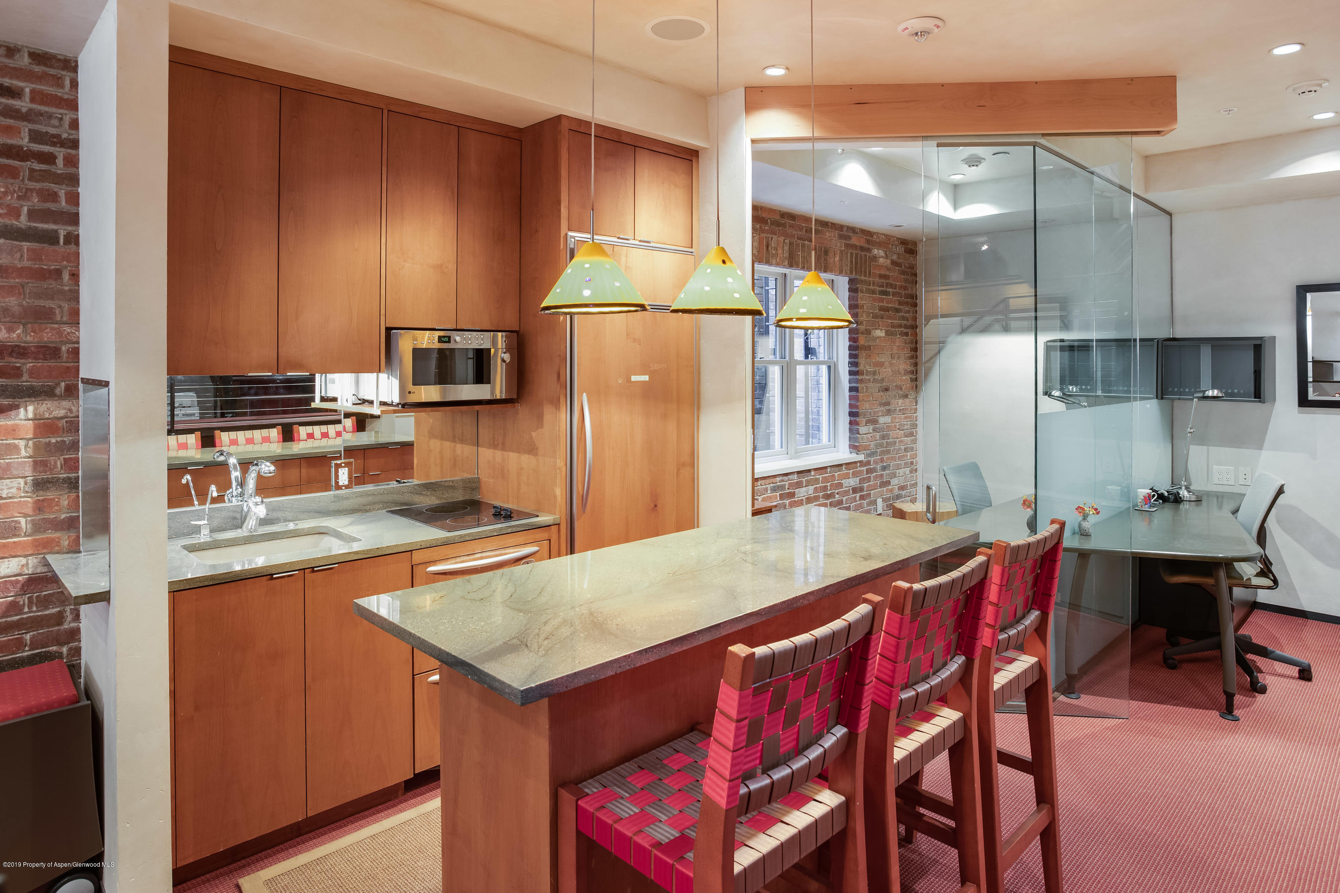 534 E Hopkins Avenue Aspen CO 81611