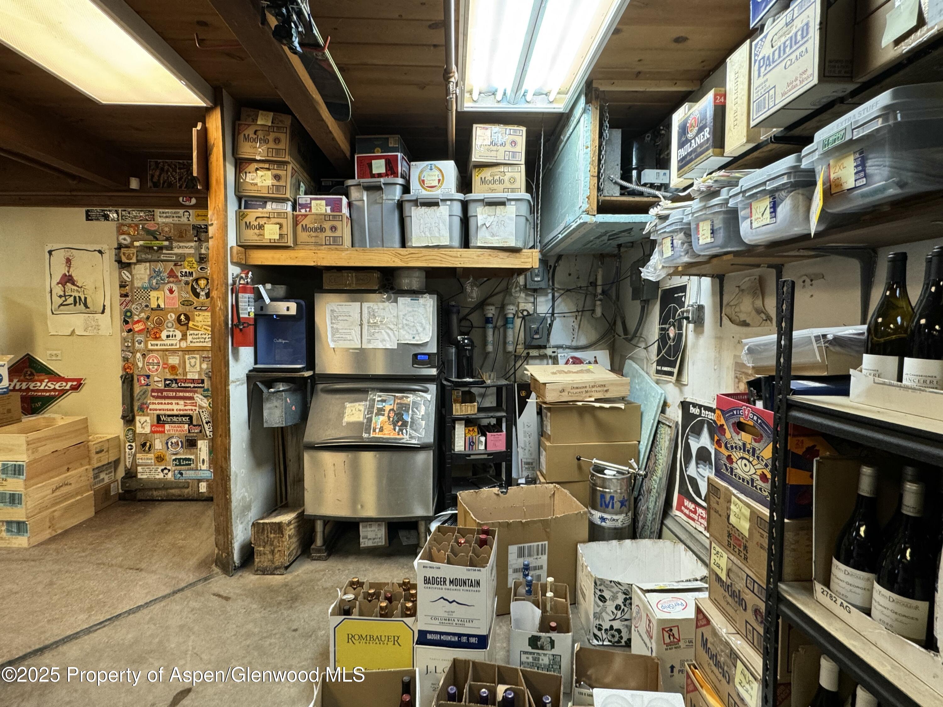 710 E Durant Avenue Aspen CO 81611