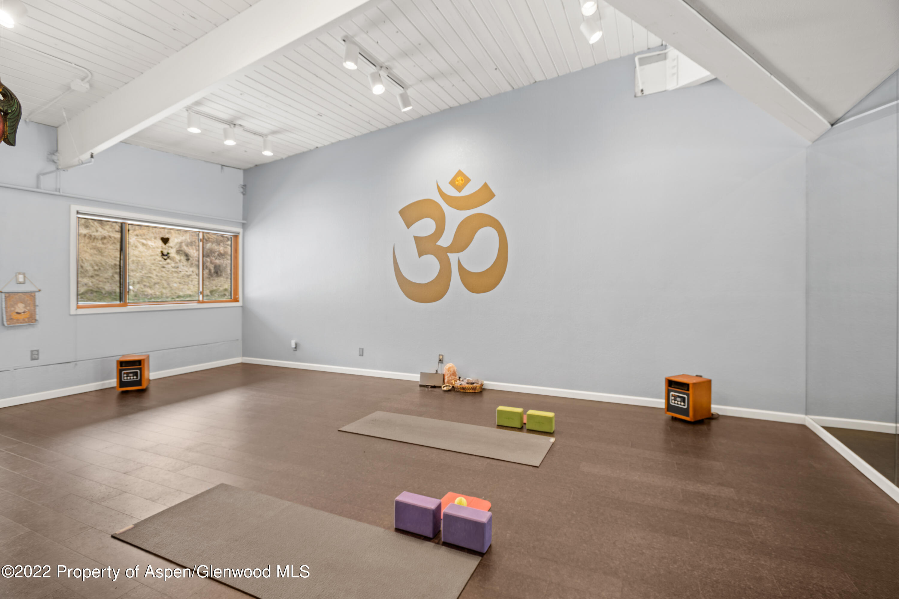 25 Lower Woodbridge Road Snowmass Village CO 81615
