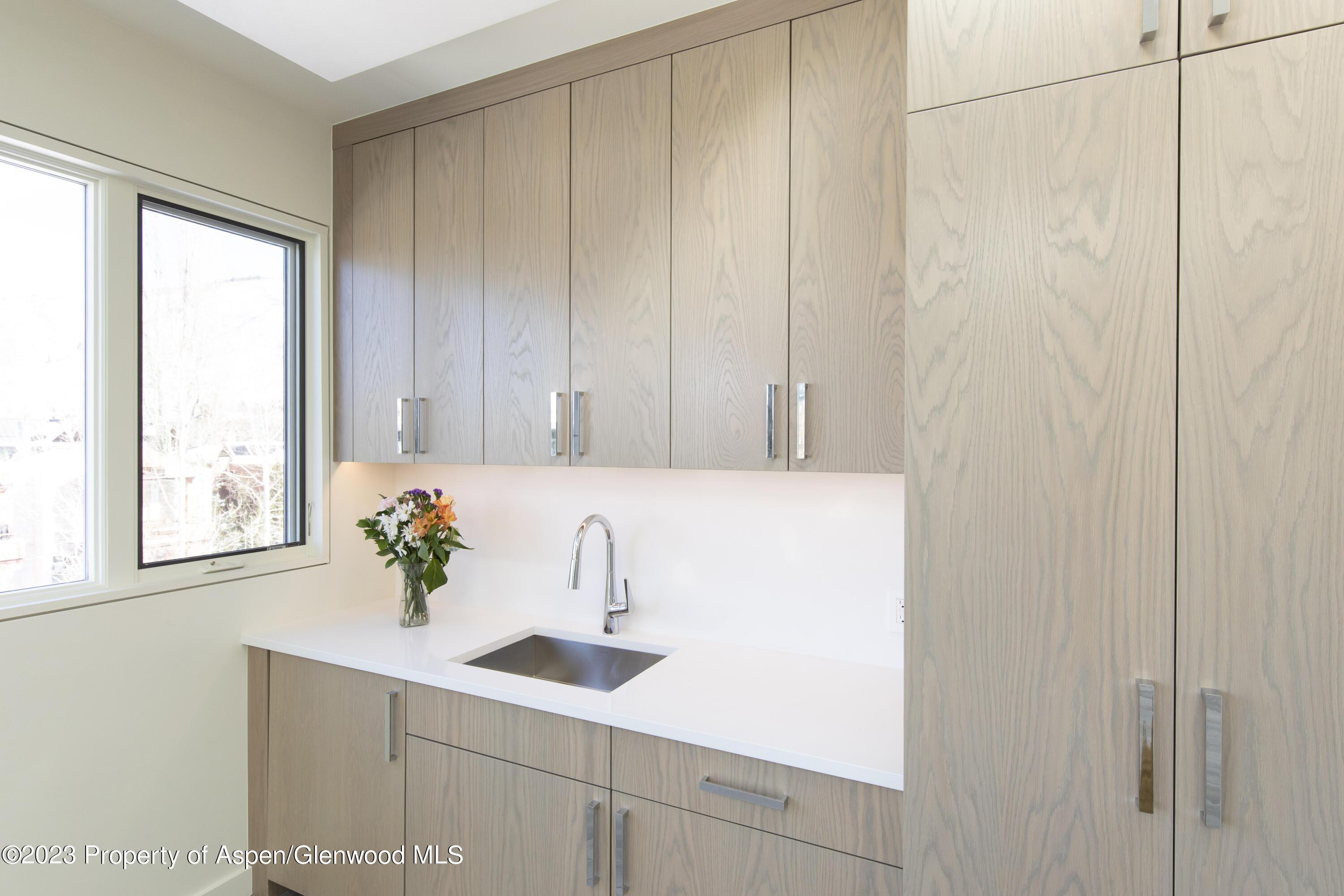 300 S Spring Street Aspen CO 81611