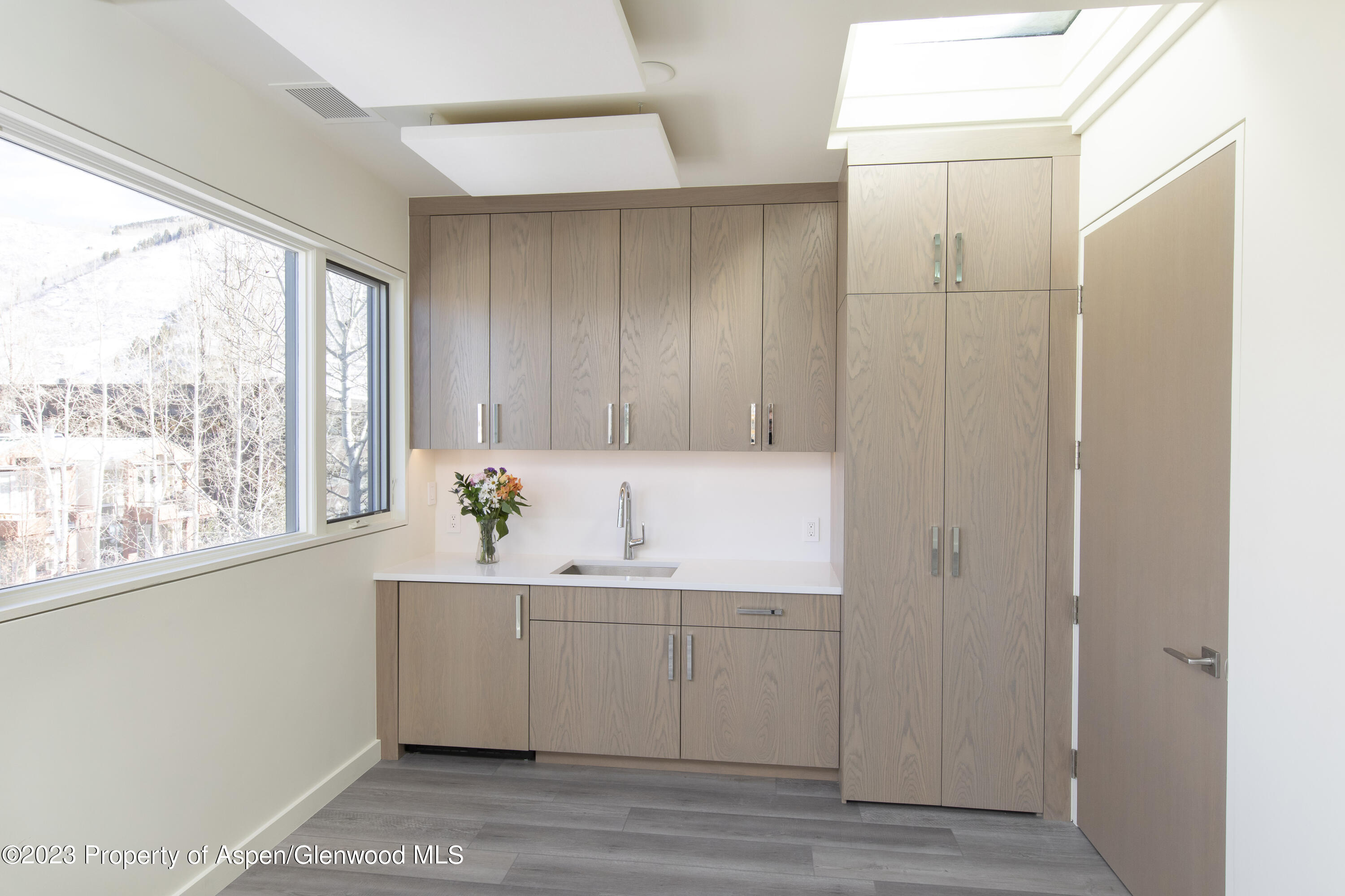 300 S Spring Street Aspen CO 81611