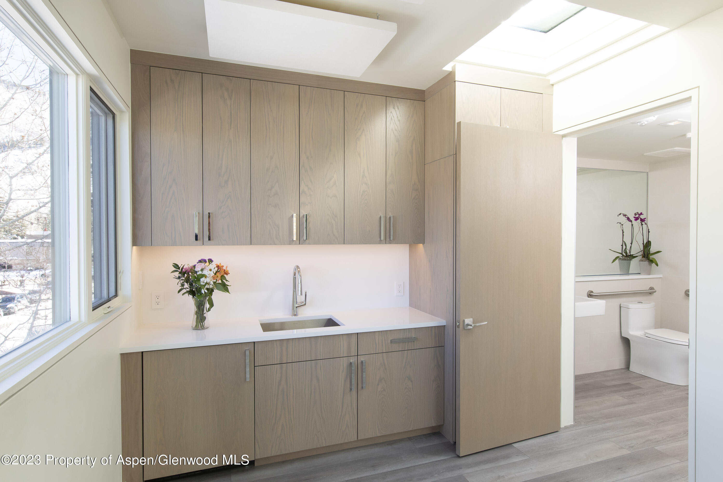 300 S Spring Street Aspen CO 81611