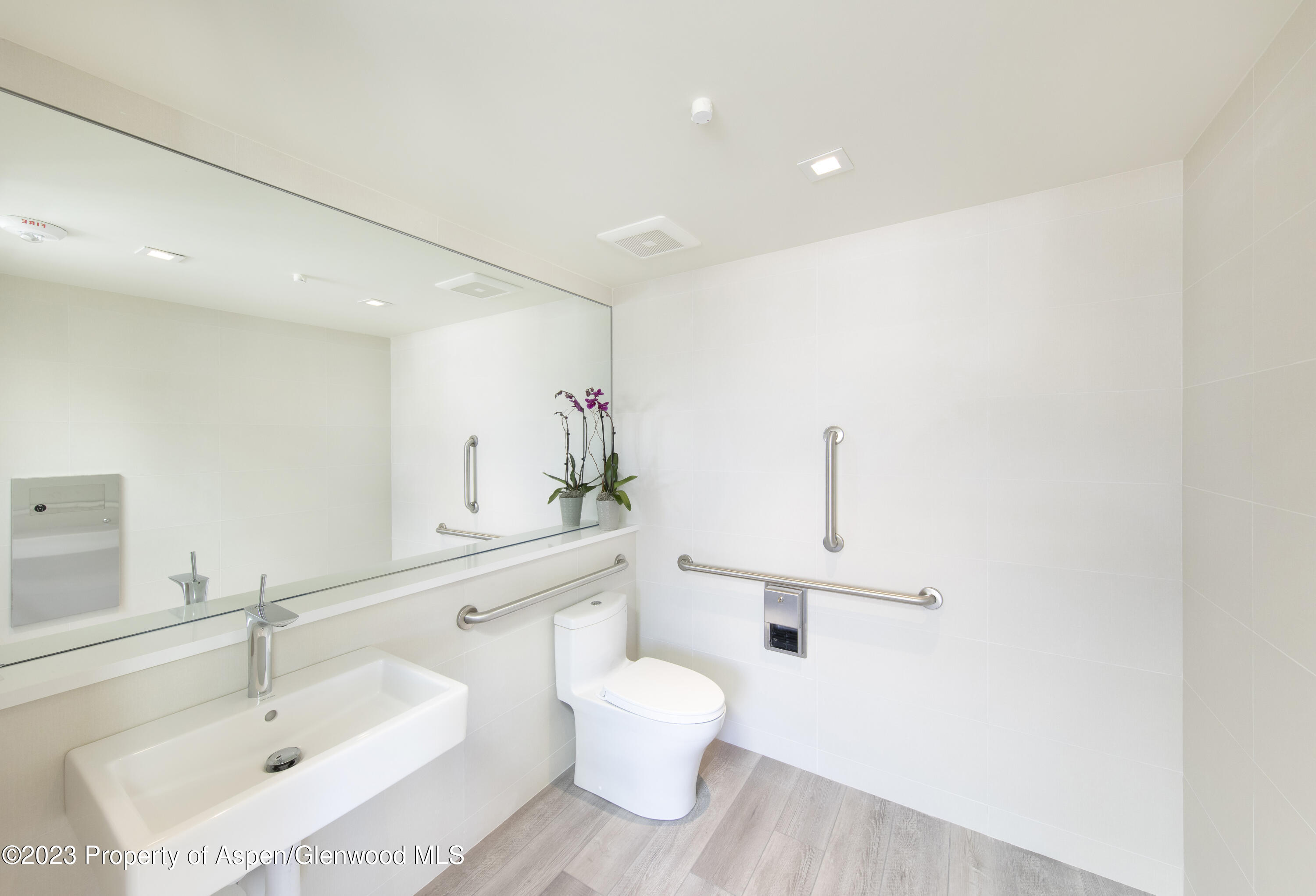 300 S Spring Street Aspen CO 81611