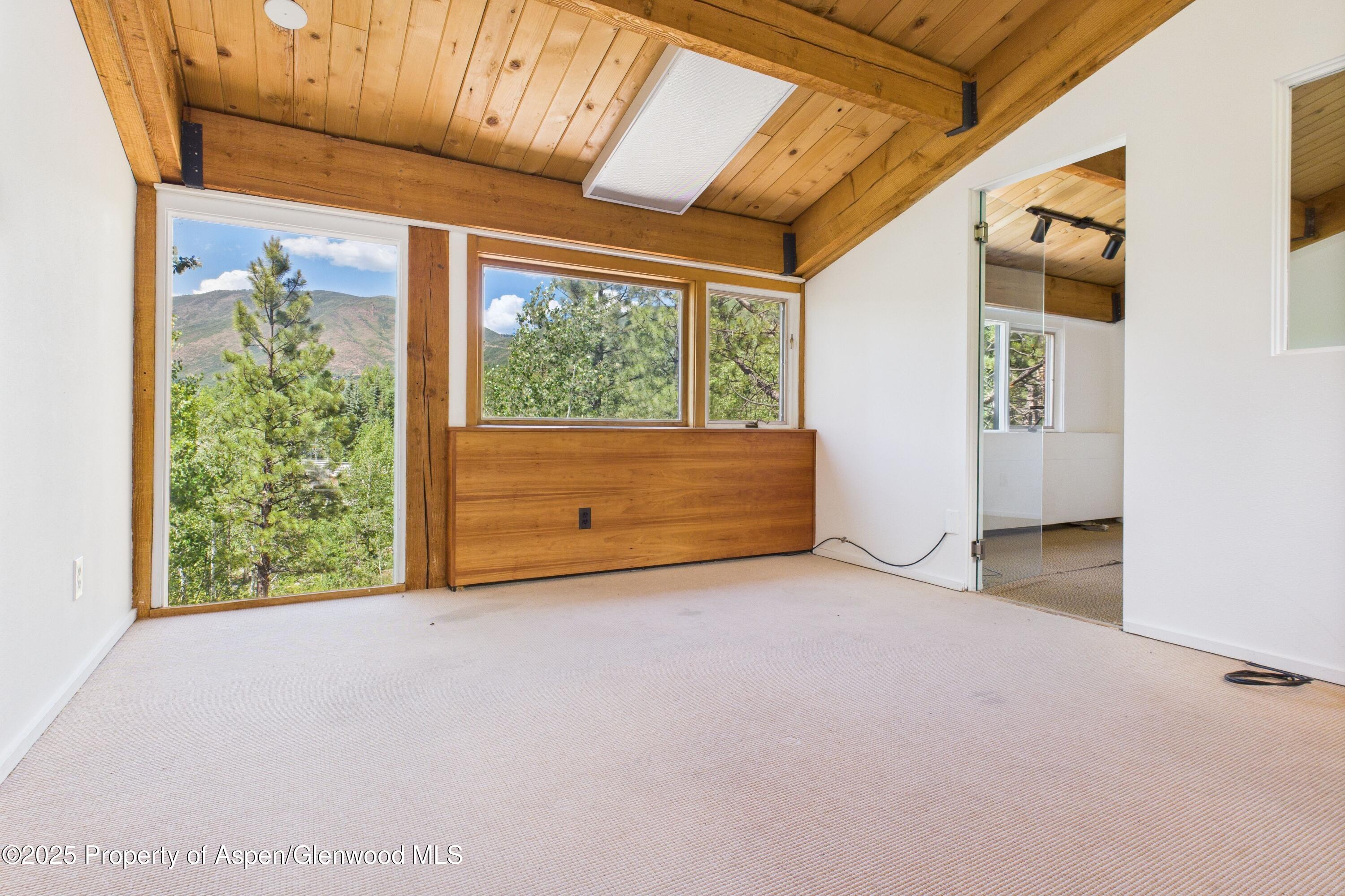 1280 Ute Avenue Aspen CO 81611