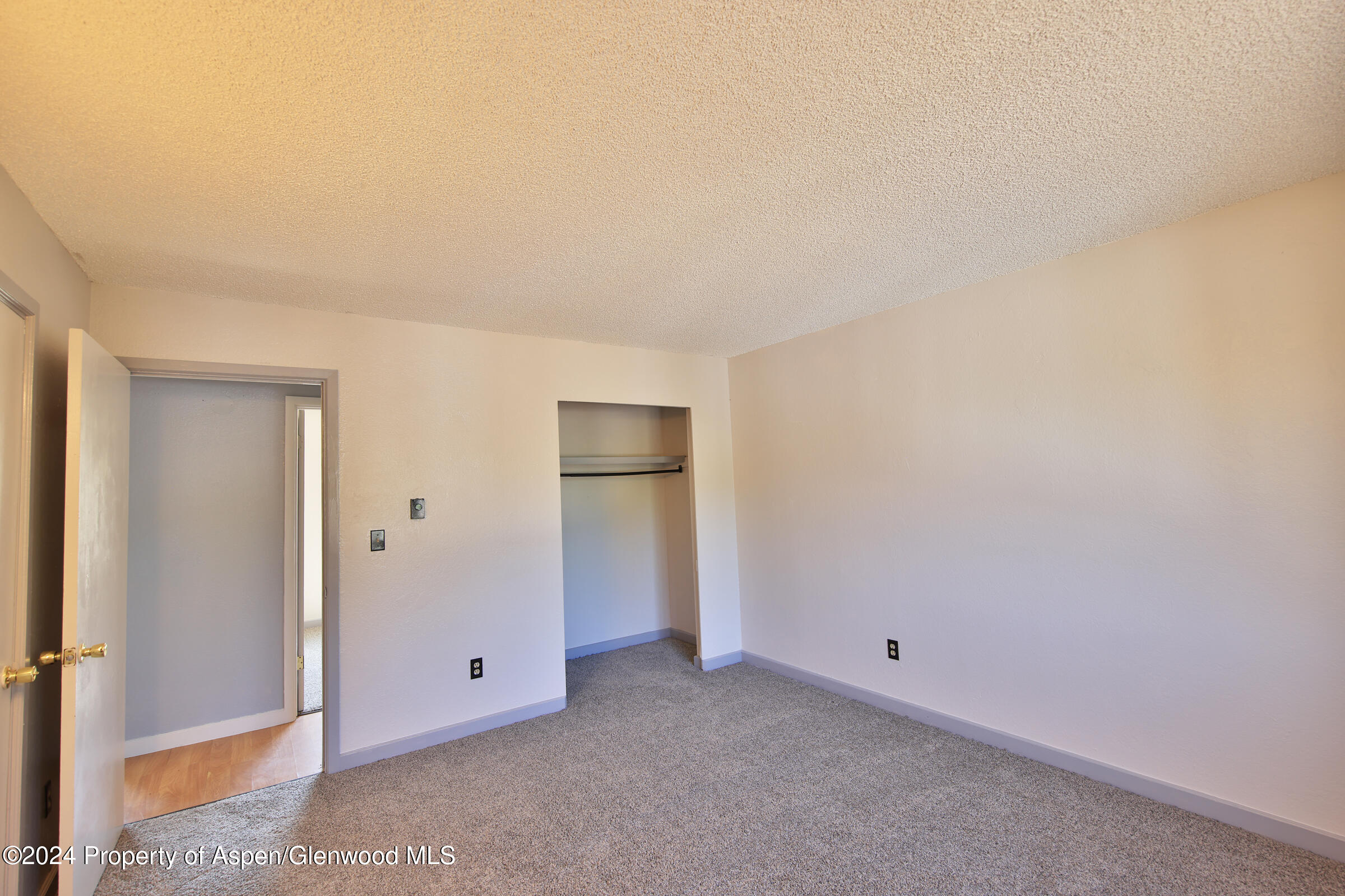 528 Oakbrush Circle Collbran CO 81624