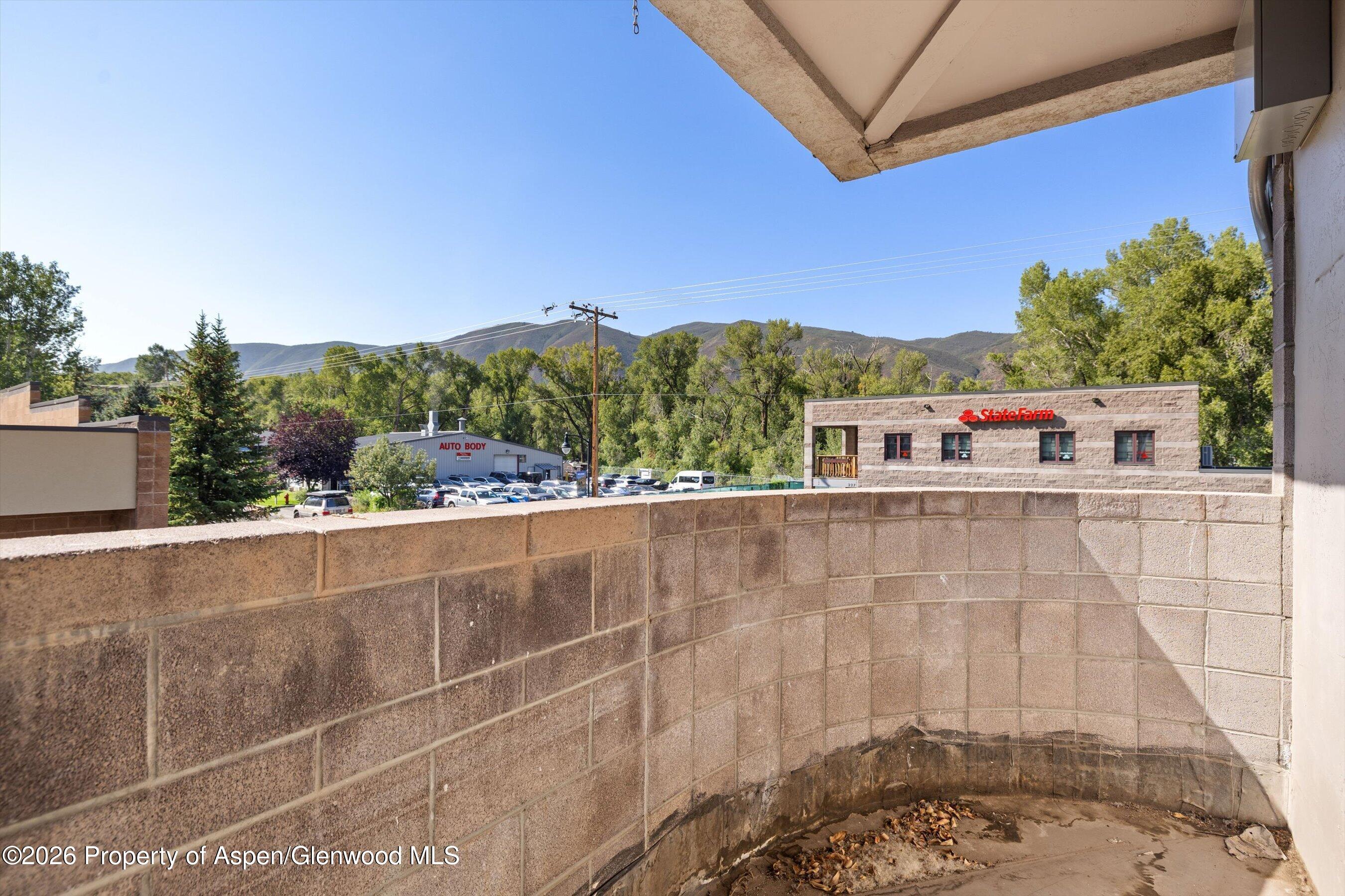 216 E Cody Lane Basalt CO 81621