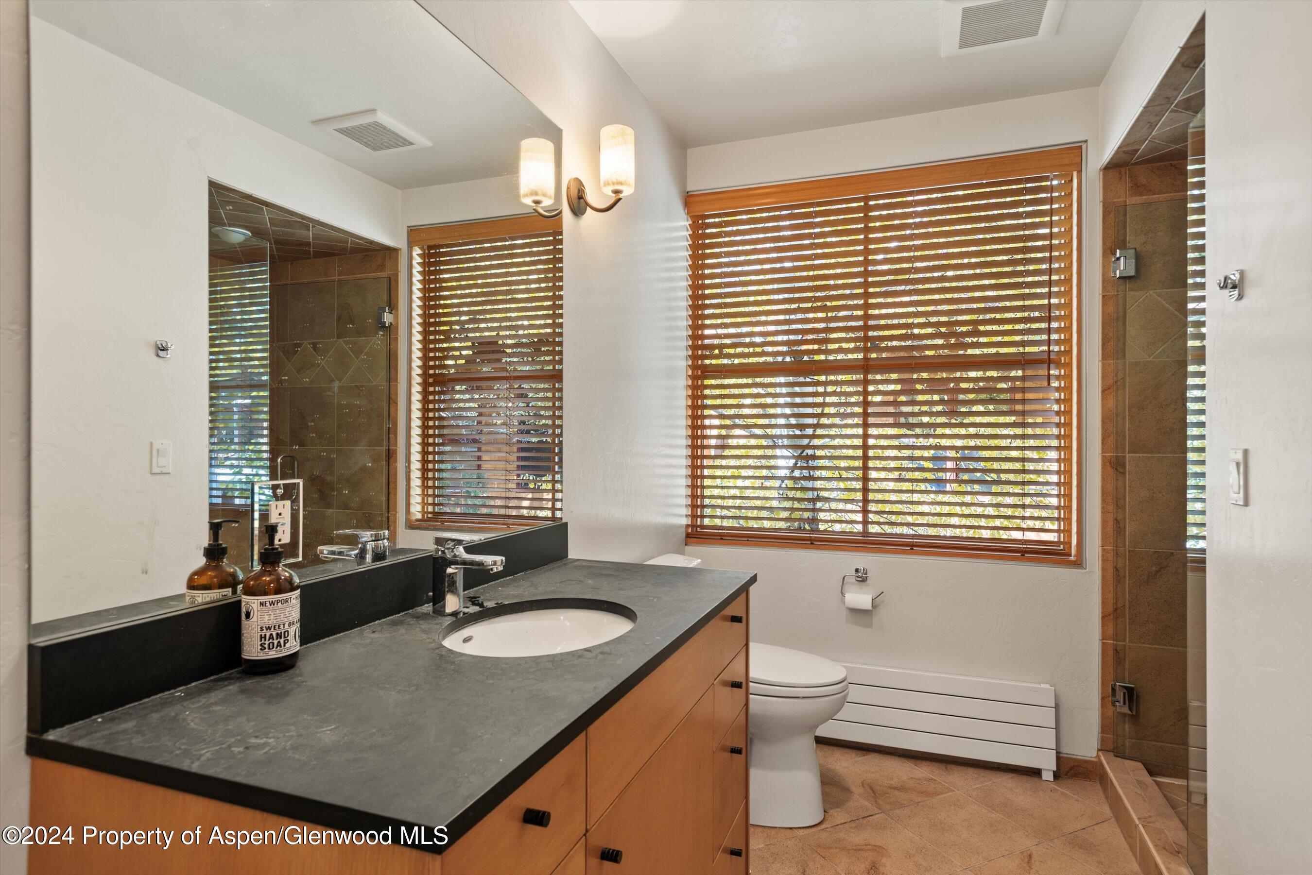 229 Midland Avenue Basalt CO 81621